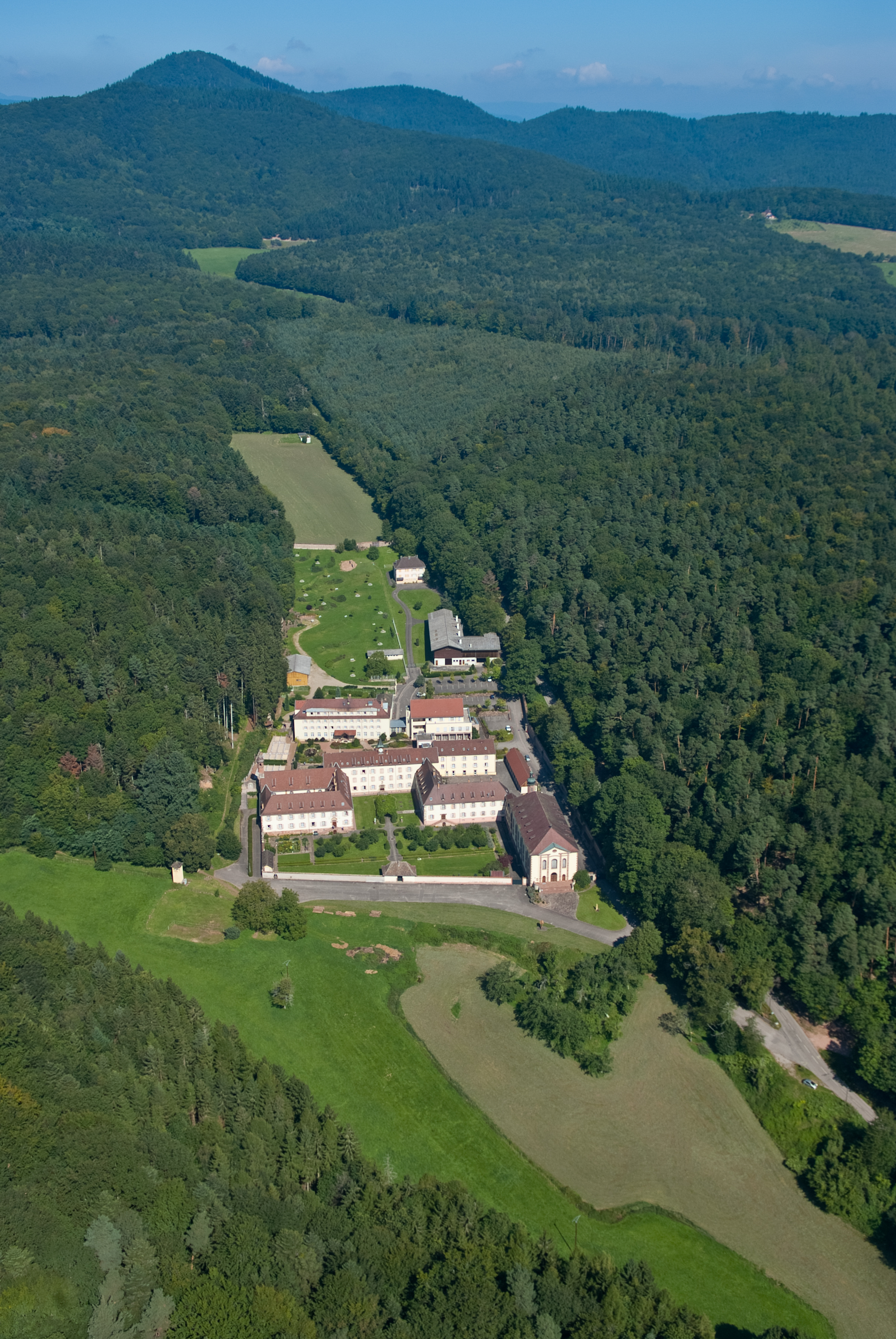 Découvrez la forêt de Gueberschwihr