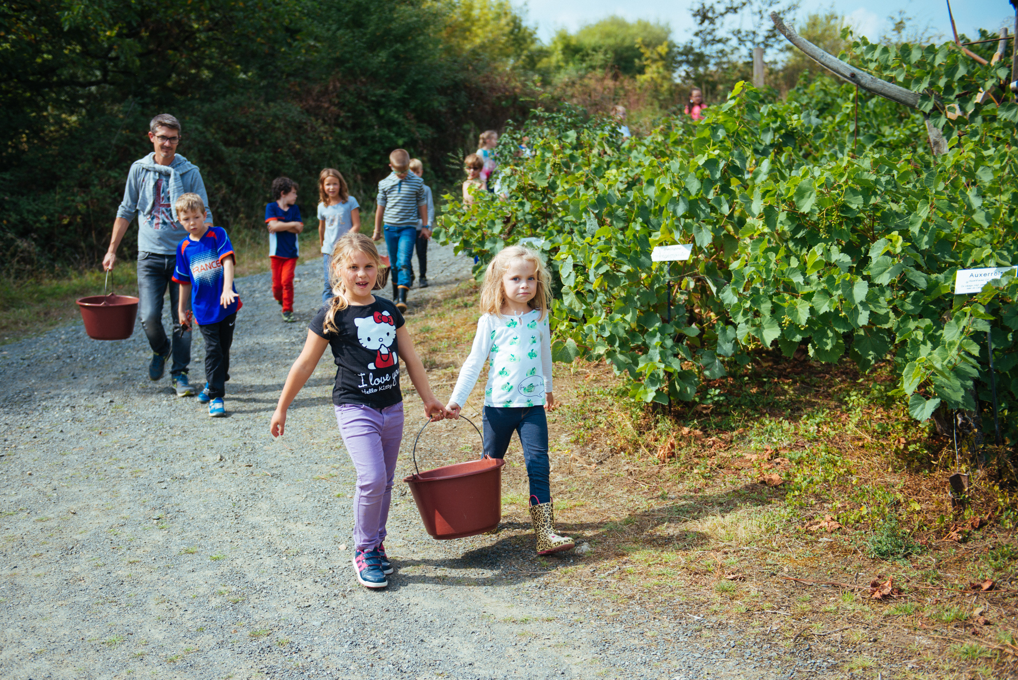 Vendanges en famille Le 22 sept 2024