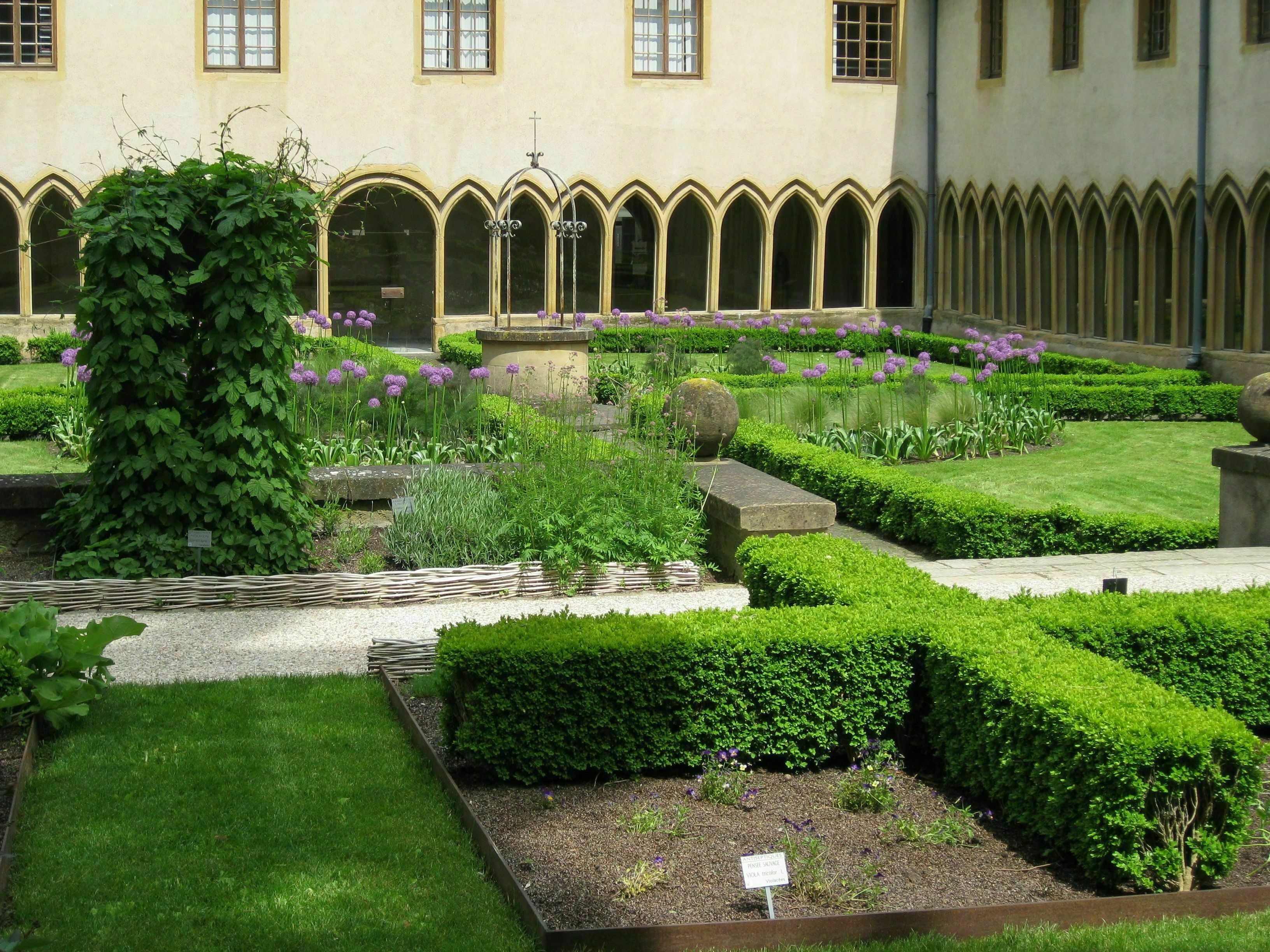 Visitez des jardins médiévaux de plantes médicinales et plantes toxiques avec un guide