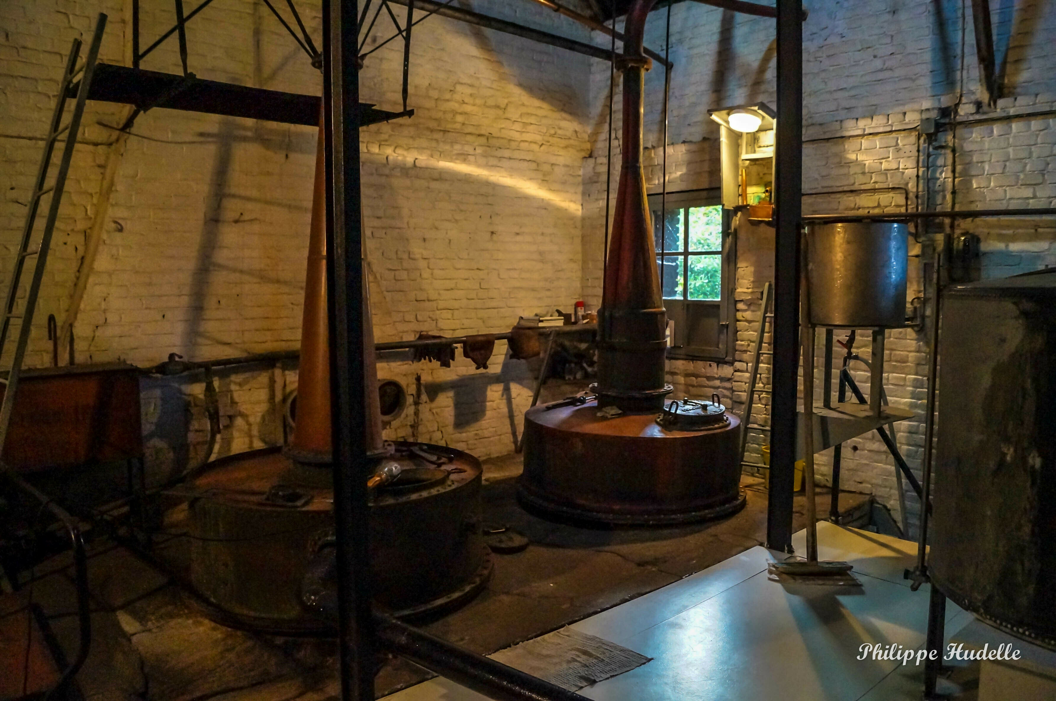 Visite guidée : La Distillerie Persyn de Houlle