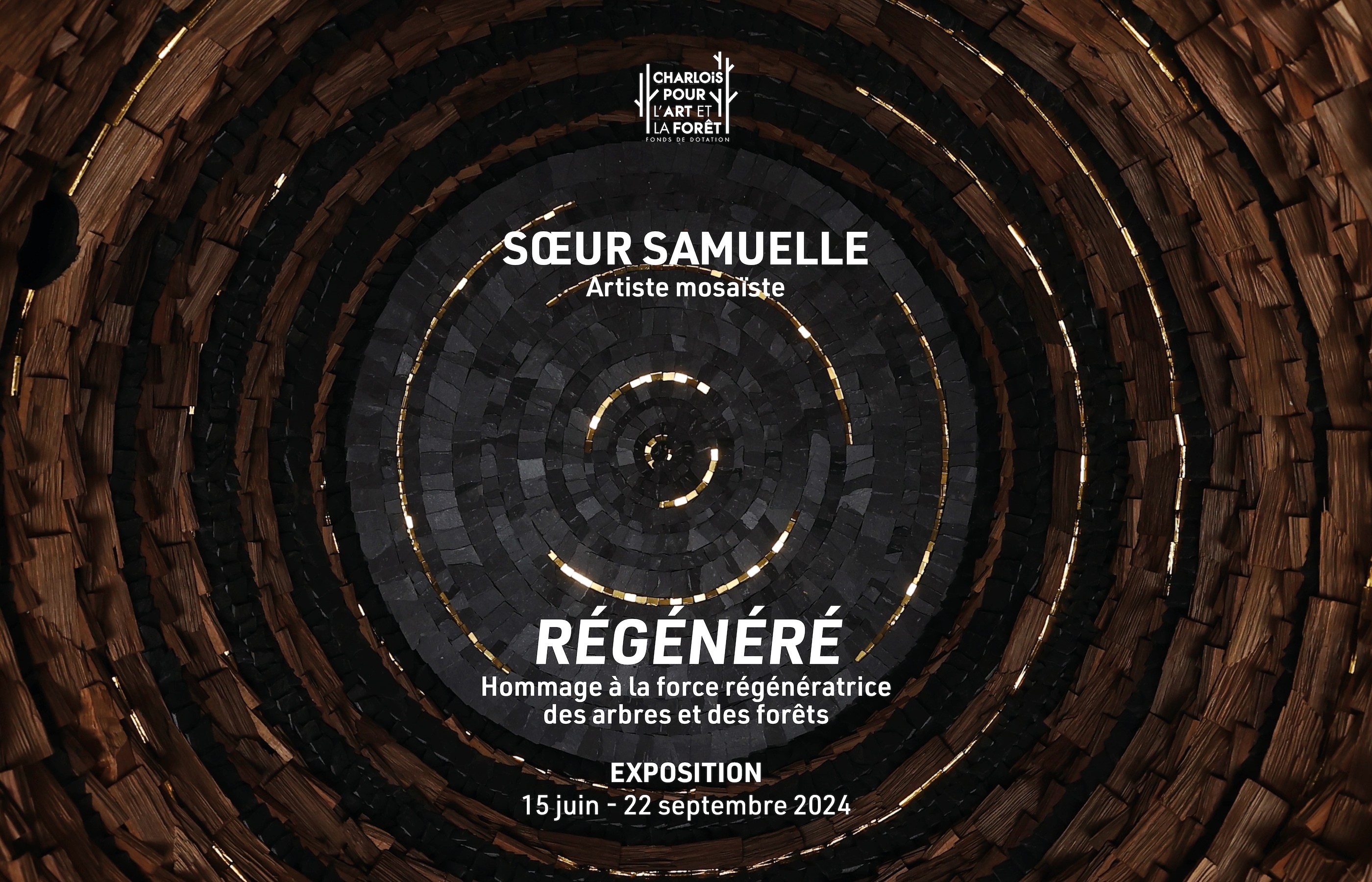 Exposition « RÉGÉNÉRÉ » de l