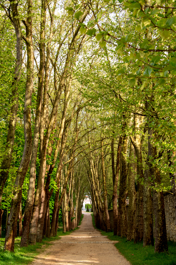 Itinéraire du Domaine