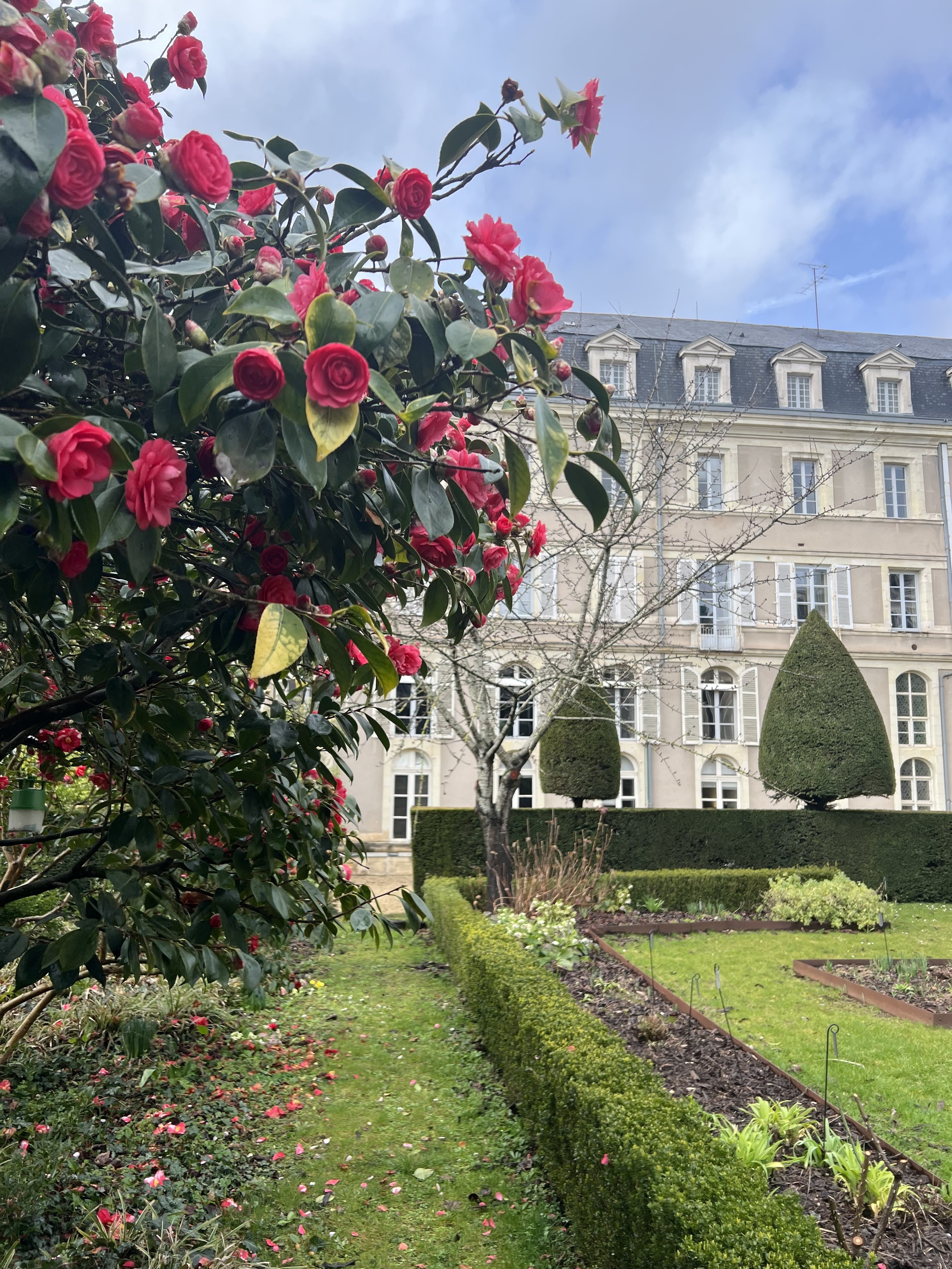 Visite commentée des jardins de l