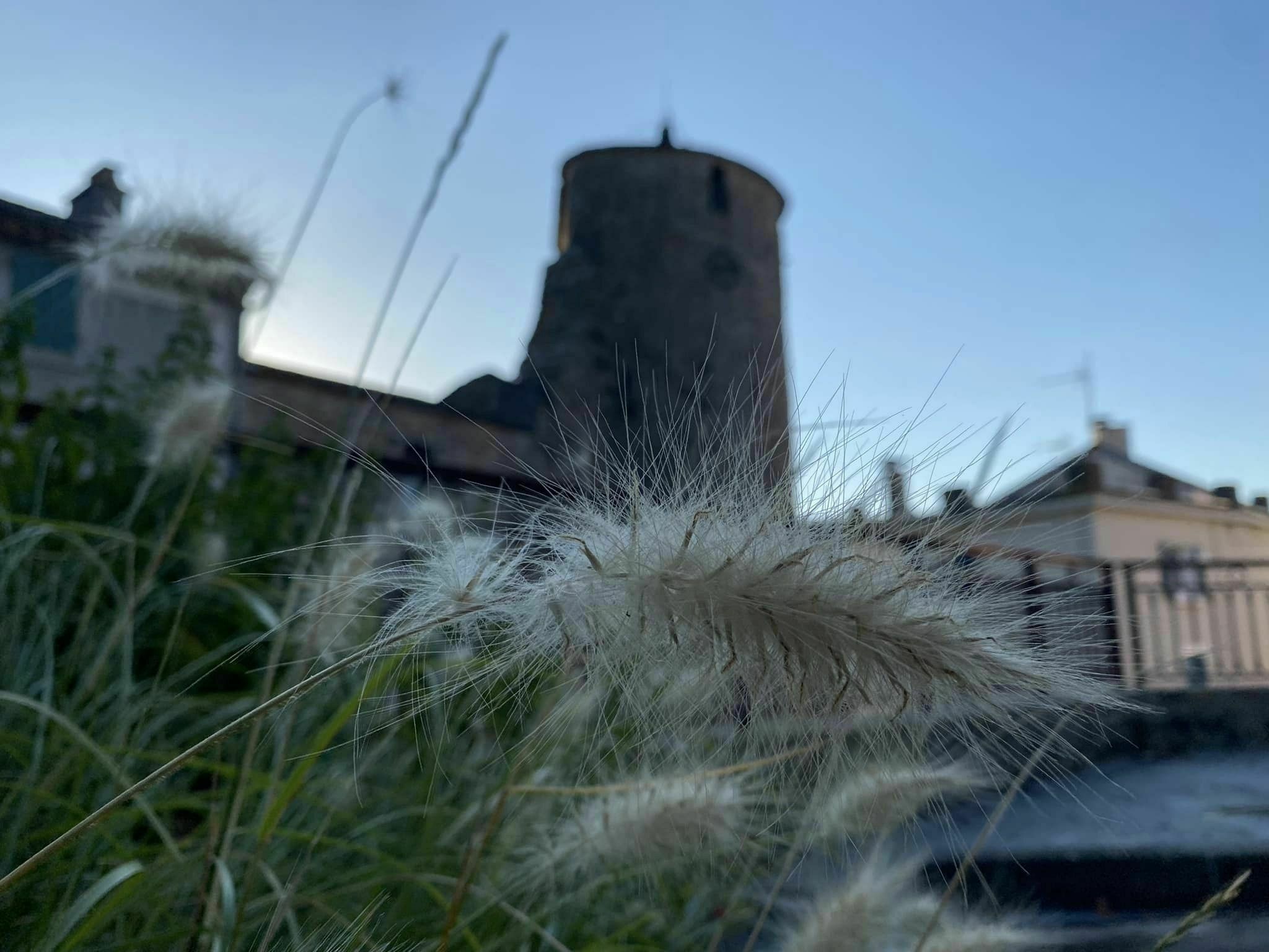 Arpentez un sentier patrimonial