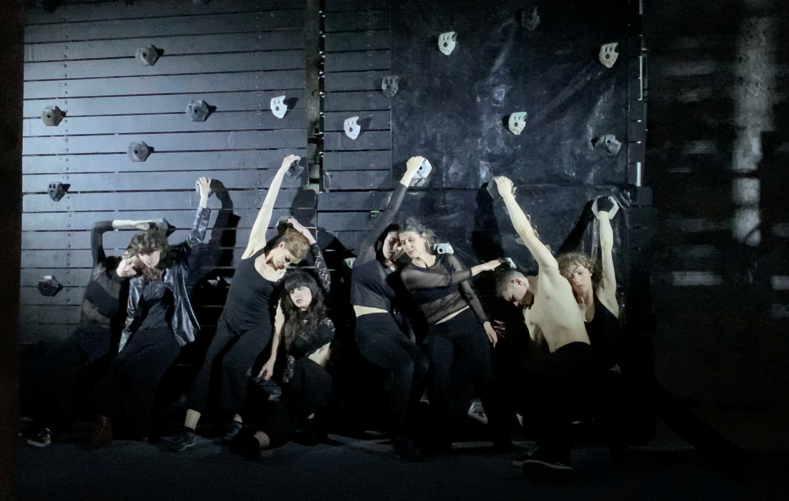 Performances de danse verticale : MurMur, par la compagnie In-SENSO