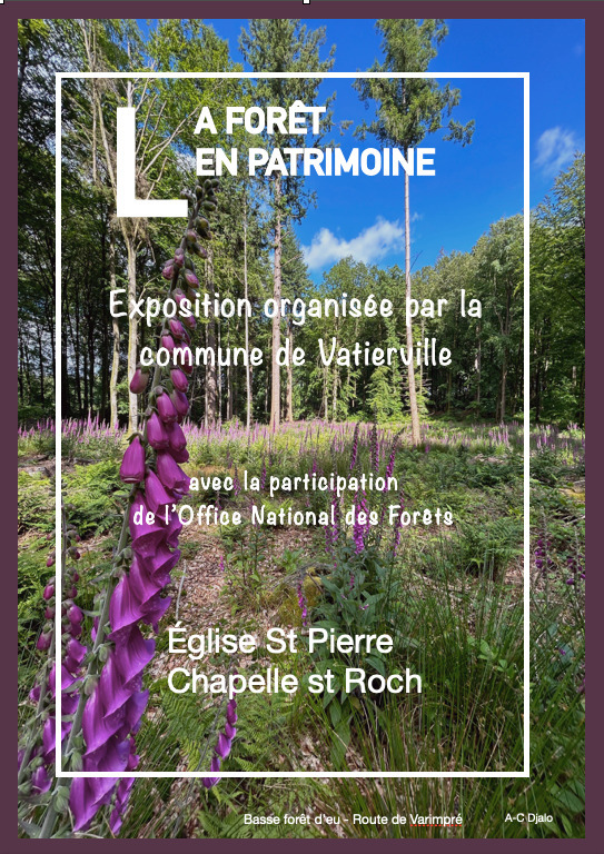 Exposition : la forêt en patrimoine, aux portes de Vatierville Du 21 au 22 sept 2024