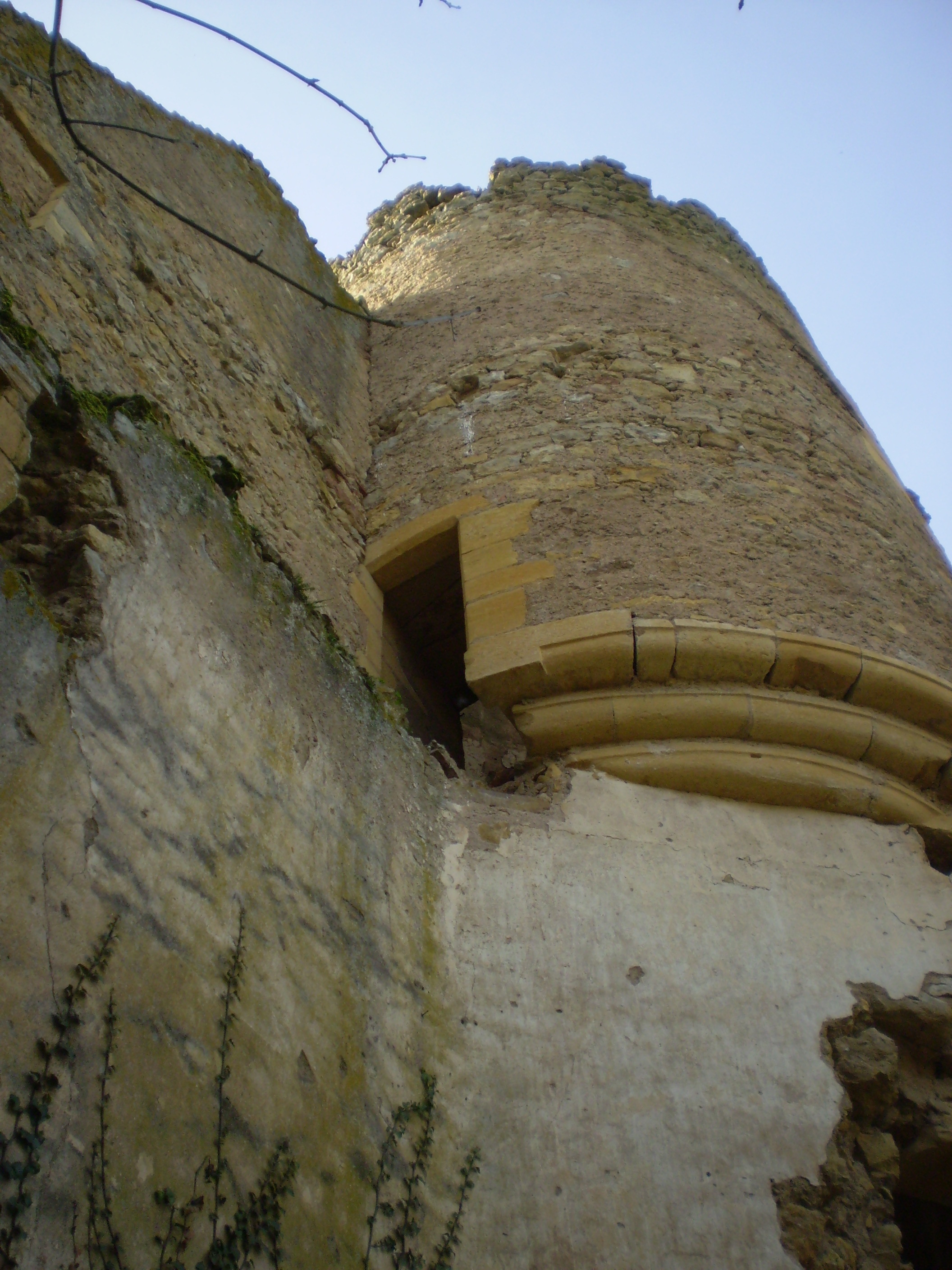 Visite des ruines du château et des moulins de Moulin l