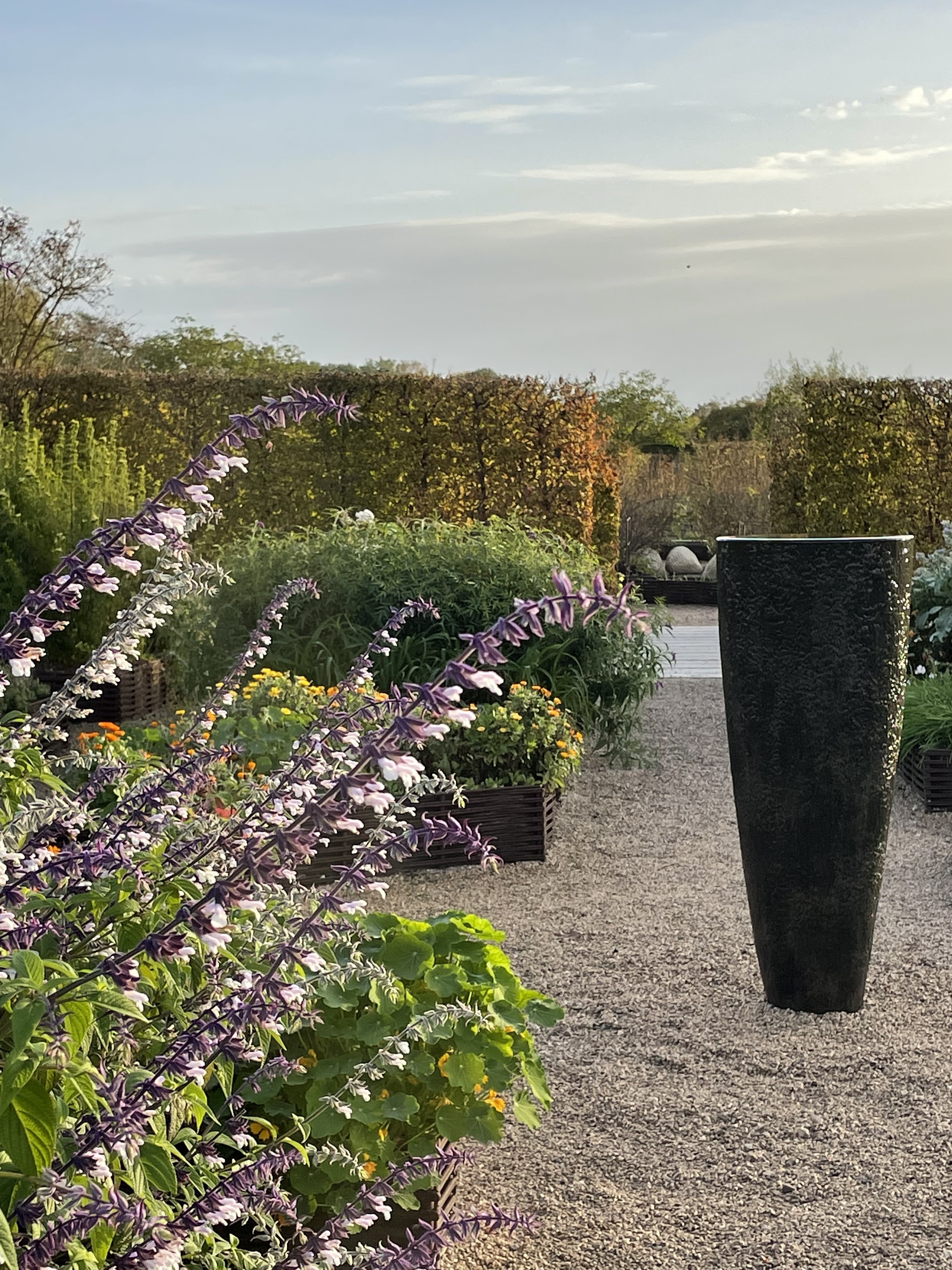 Visite libre de jardins fruitiers Du 21 au 22 sept 2024