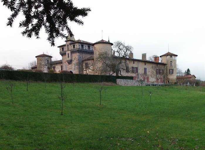 Découverte de la faune du parc du Château de Saconay