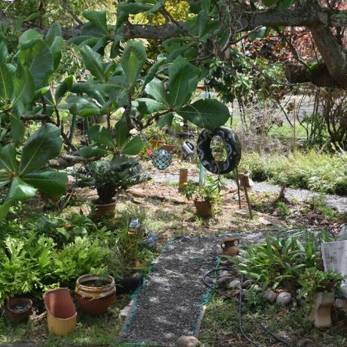 Regards croisés sur un jardin en permaculture