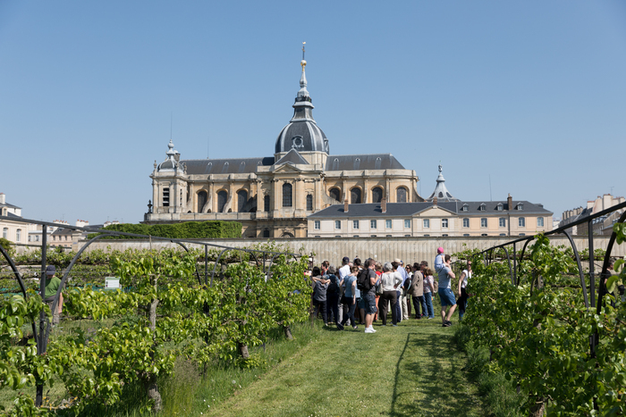 Journées Européennes du Patrimoine 2024 - Potager du Roi