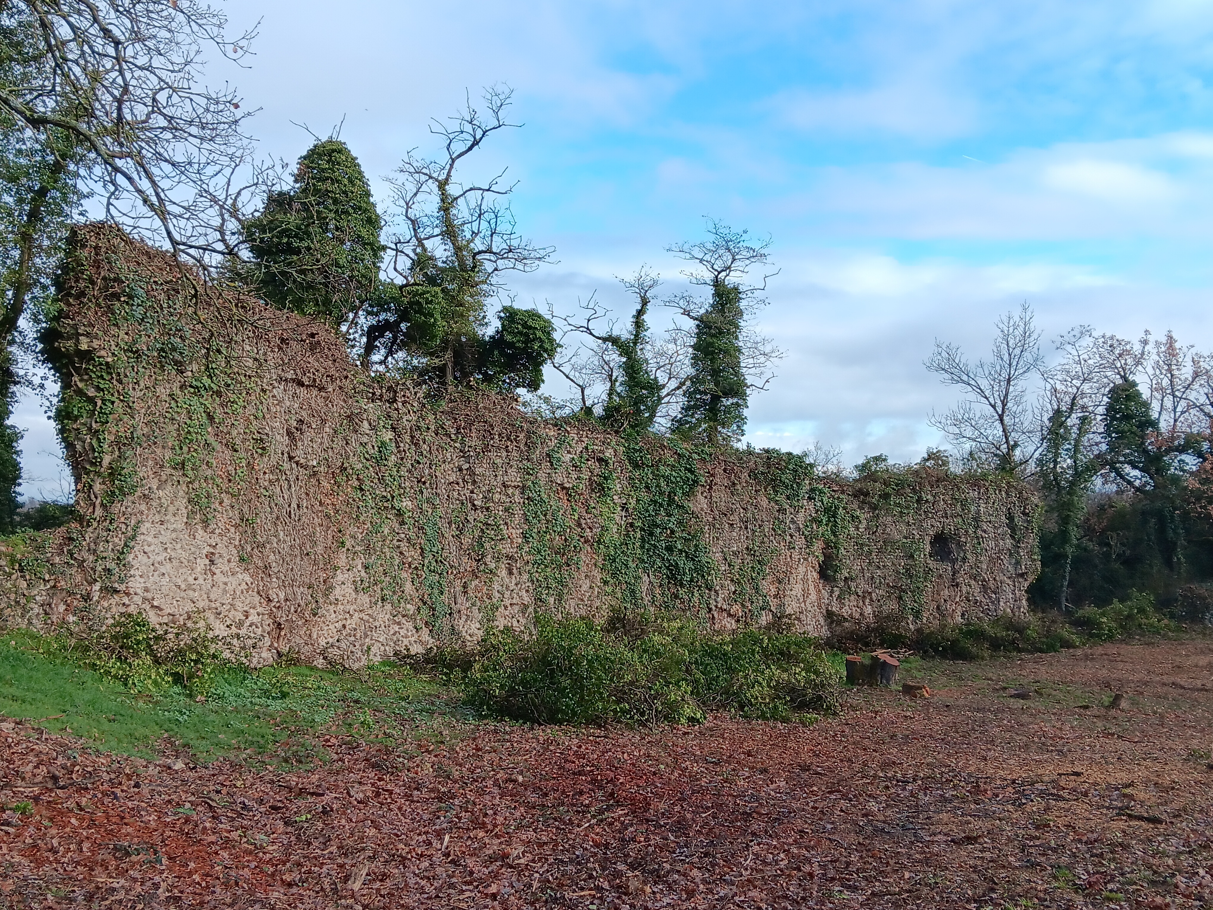 Visite commentée des ruines de la Bâtie d