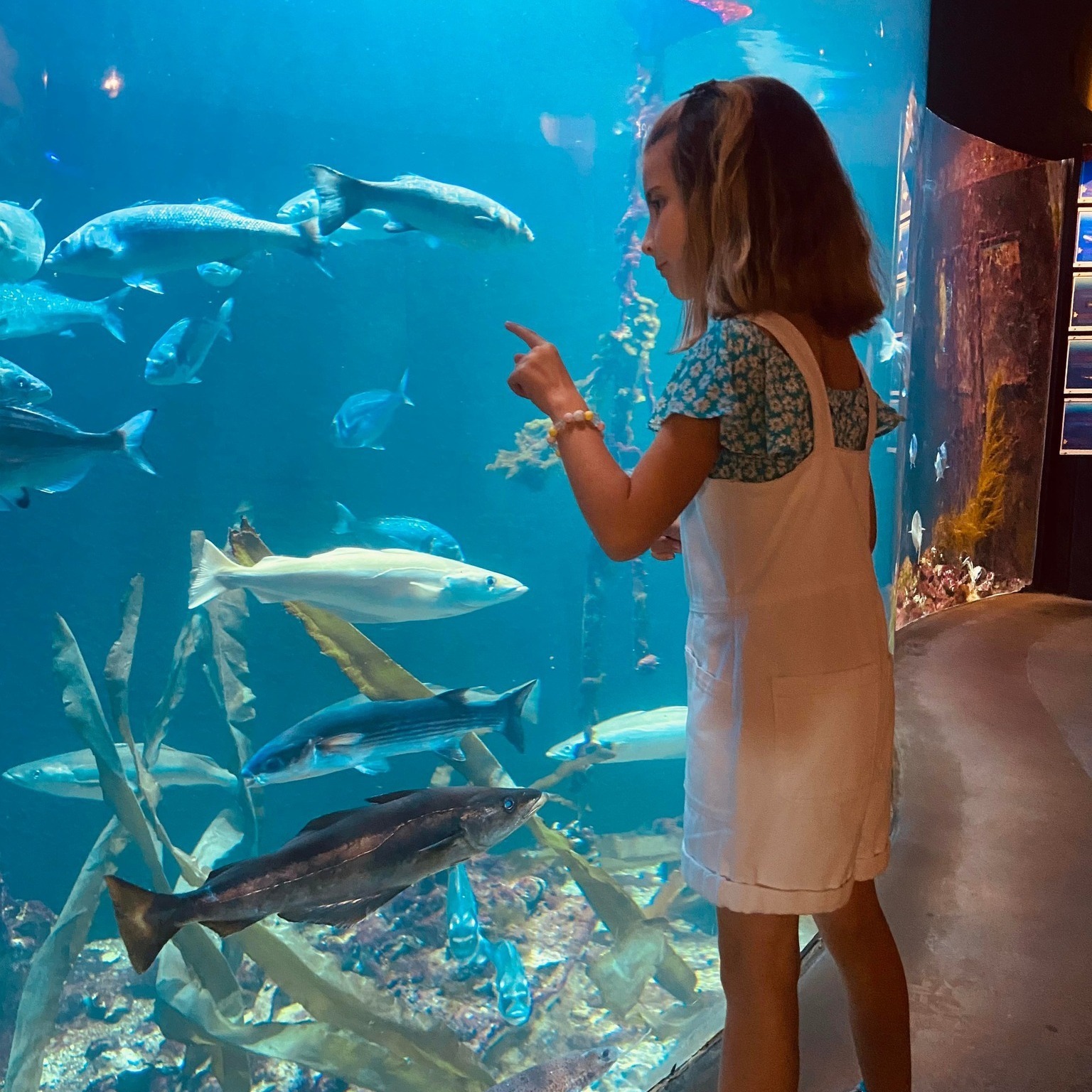 Visite guidée découverte de la pêche en mer Du 21 au 22 sept 2024