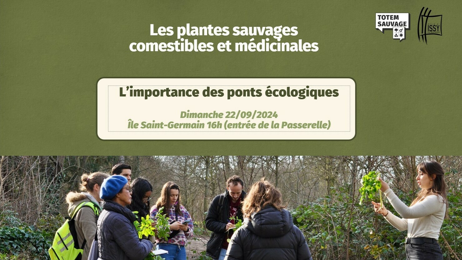 Les plantes sauvages, comestibles et médicinales : l