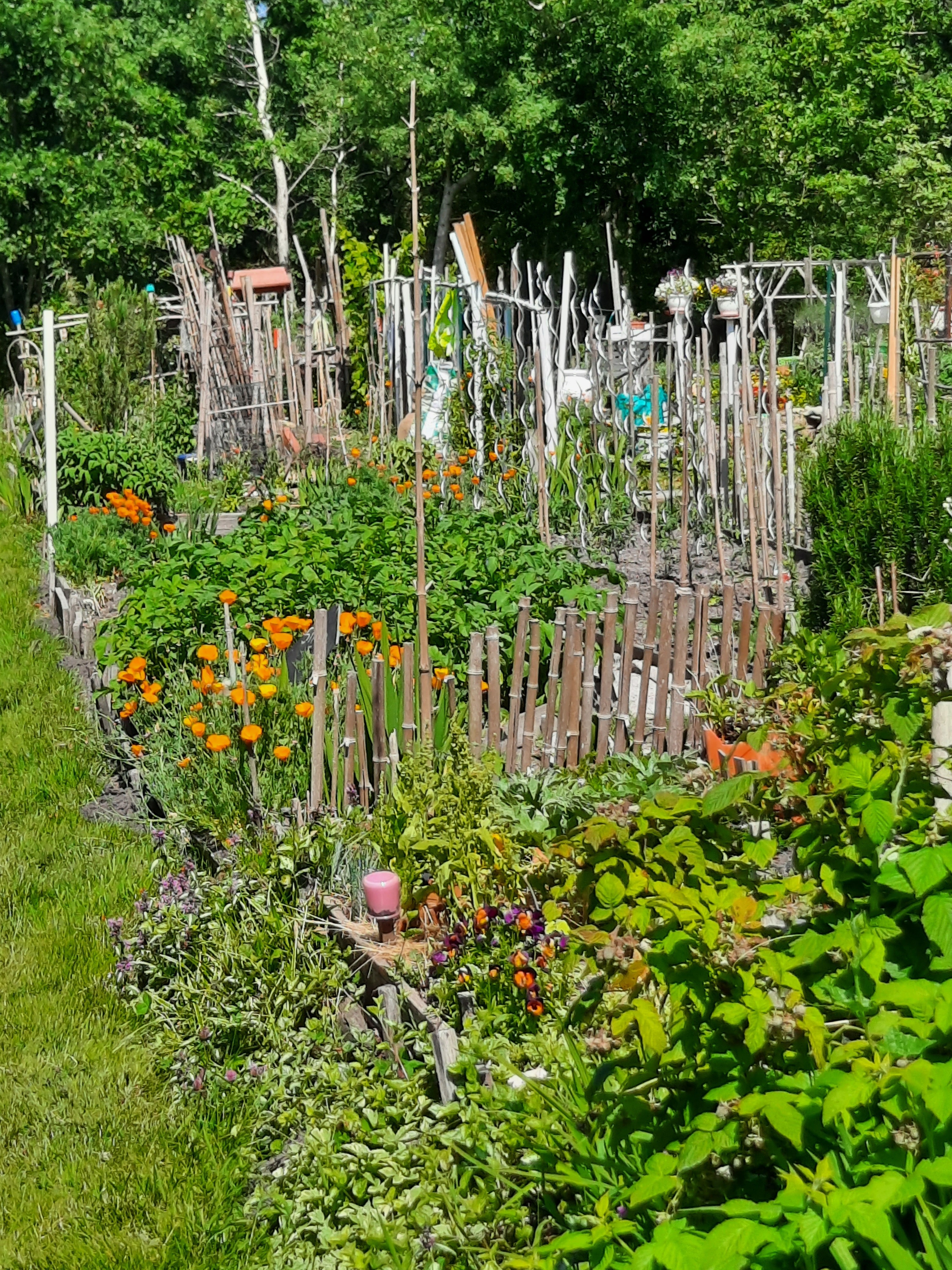 La nature, alliée du jardinier Le 21 sept 2024