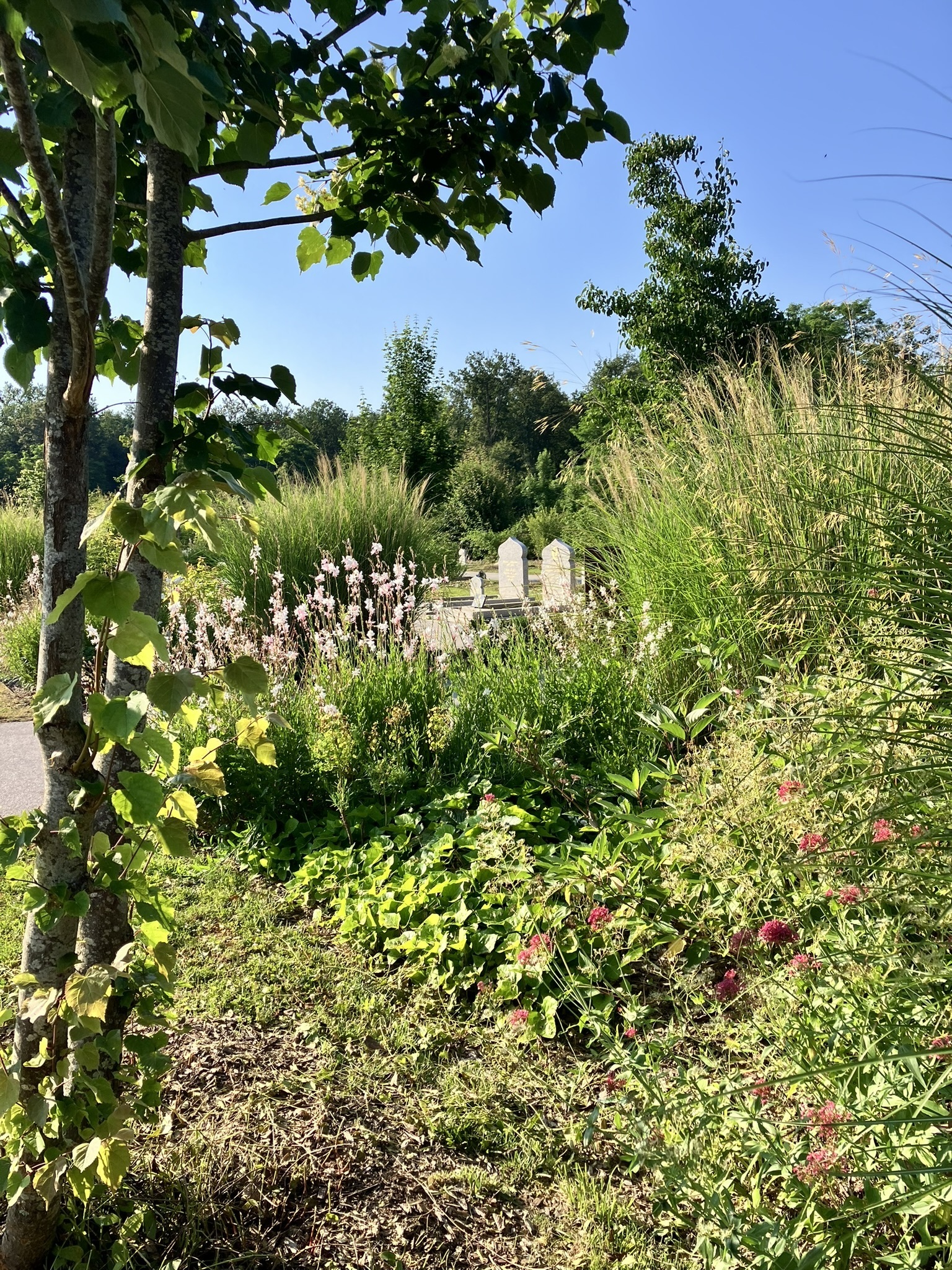 Visite du nouveau cimetière paysager de la Source