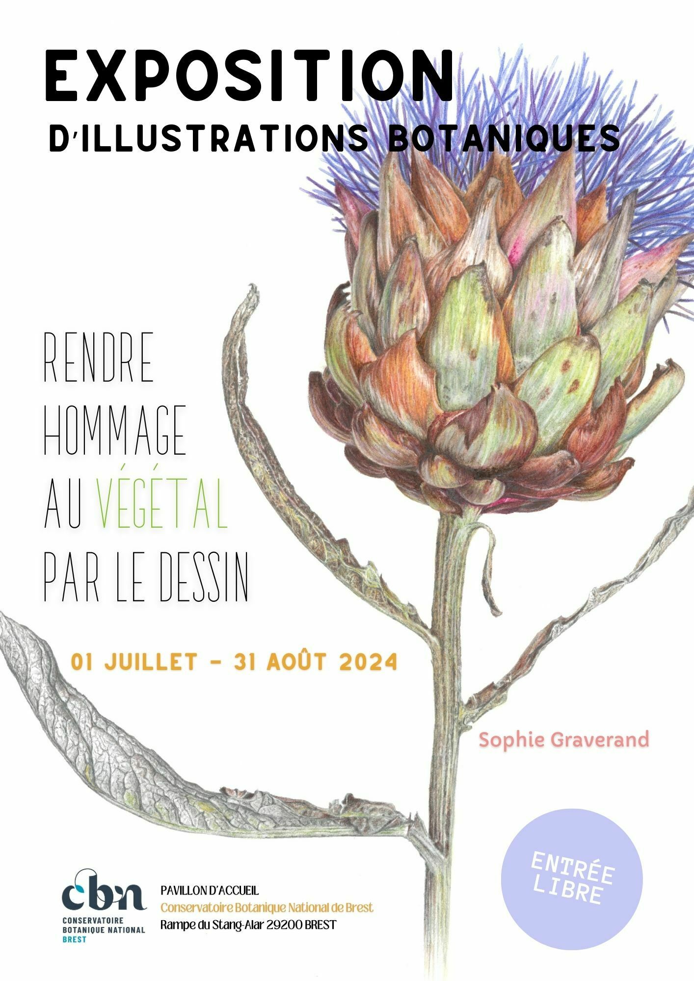 Rendre hommage au végétal par le dessin Du 21 au 22 sept 2024