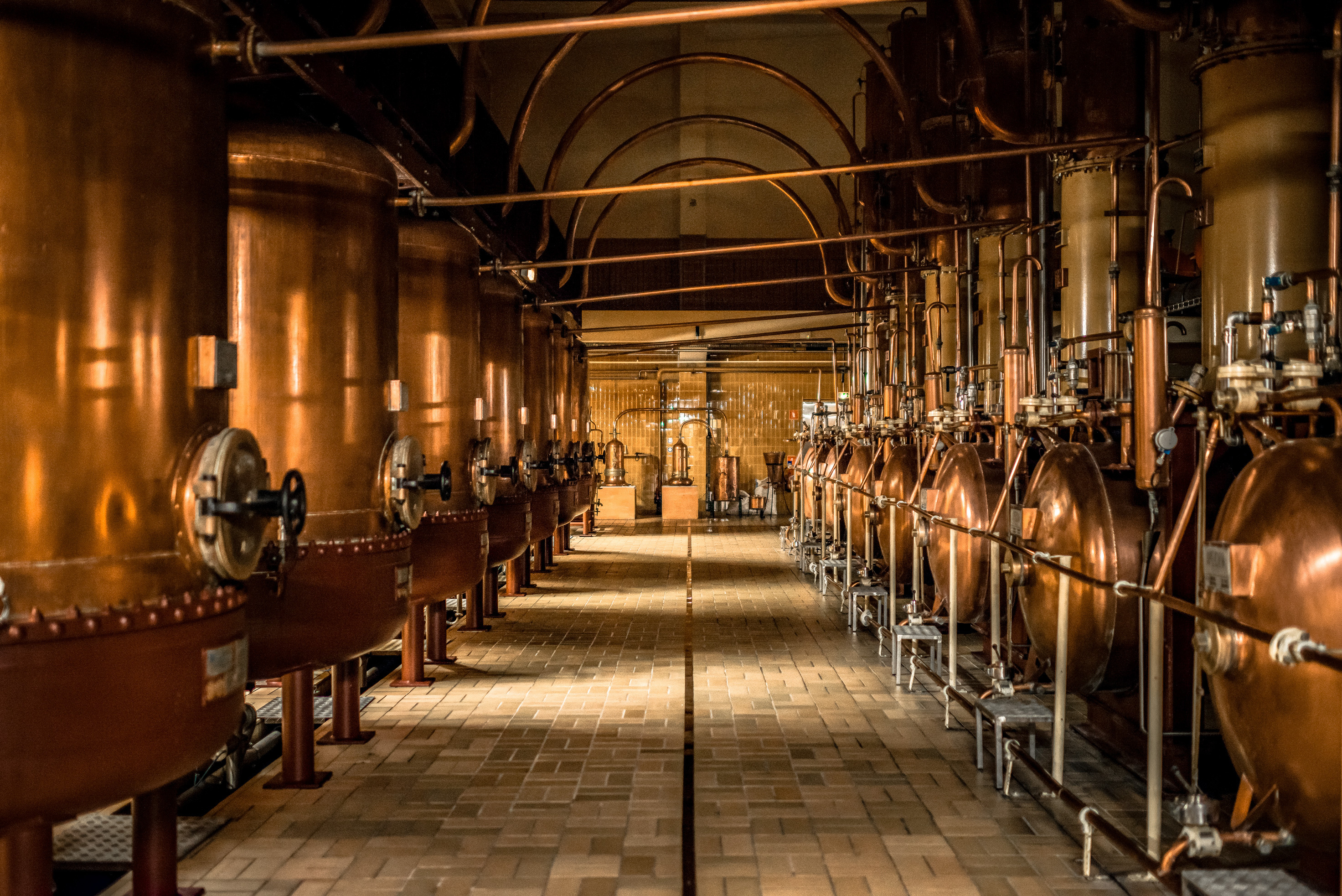 Visite de la distillerie Cointreau