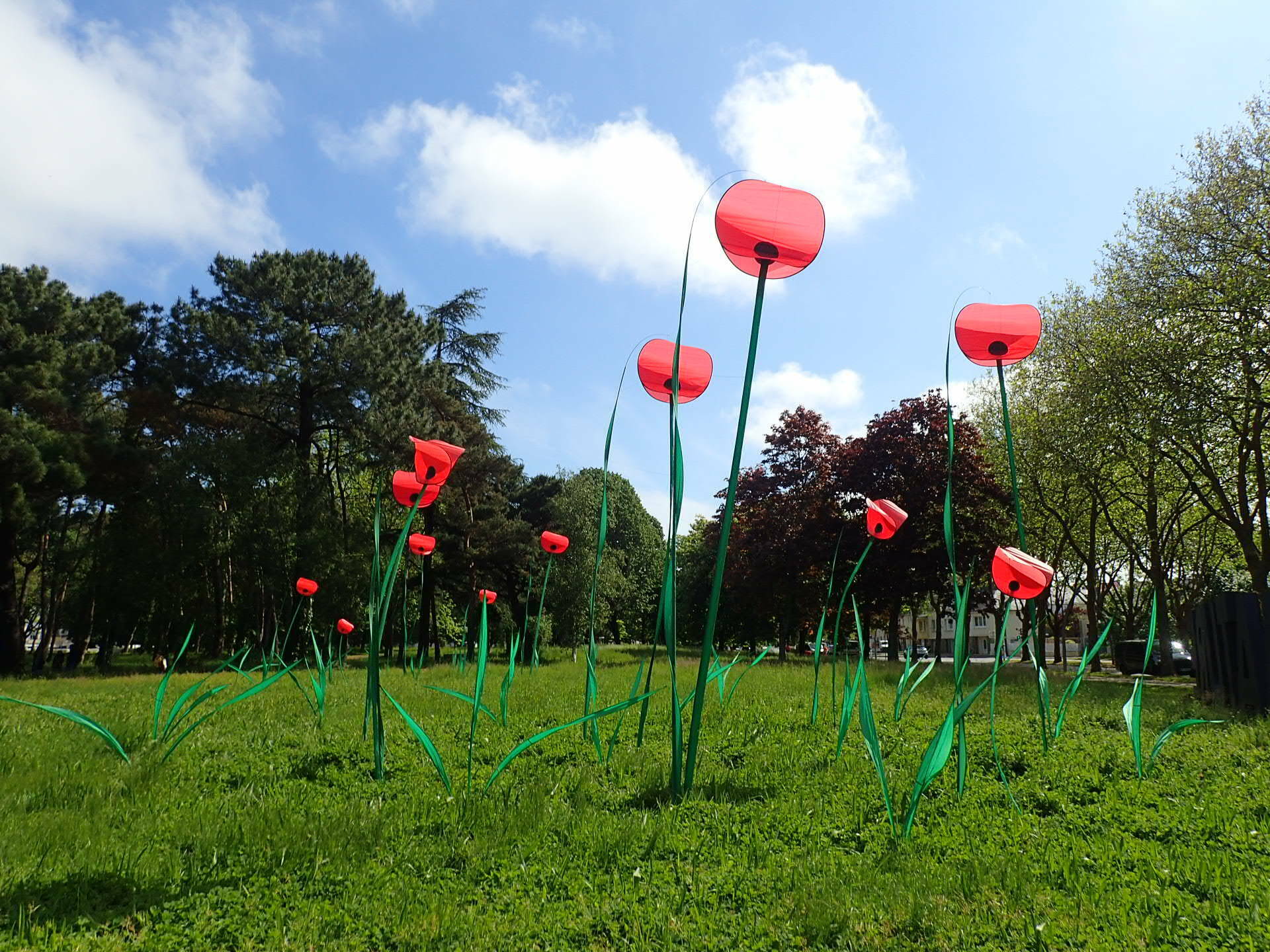 Installation artistique : les mobiles coquelicots Du 21 au 22 sept 2024