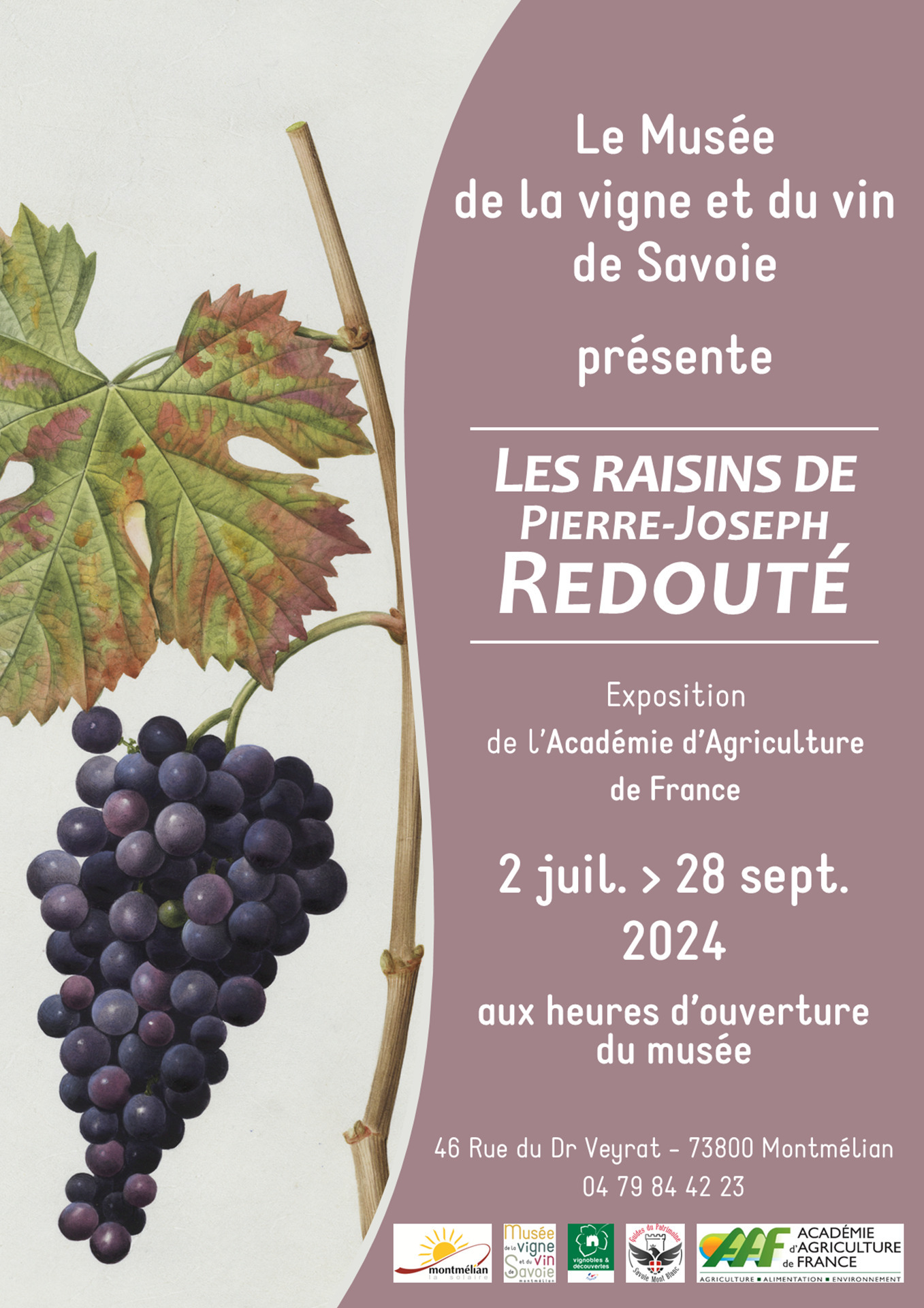 Exposition « Les raisins de Pierre-Joseph Redouté »