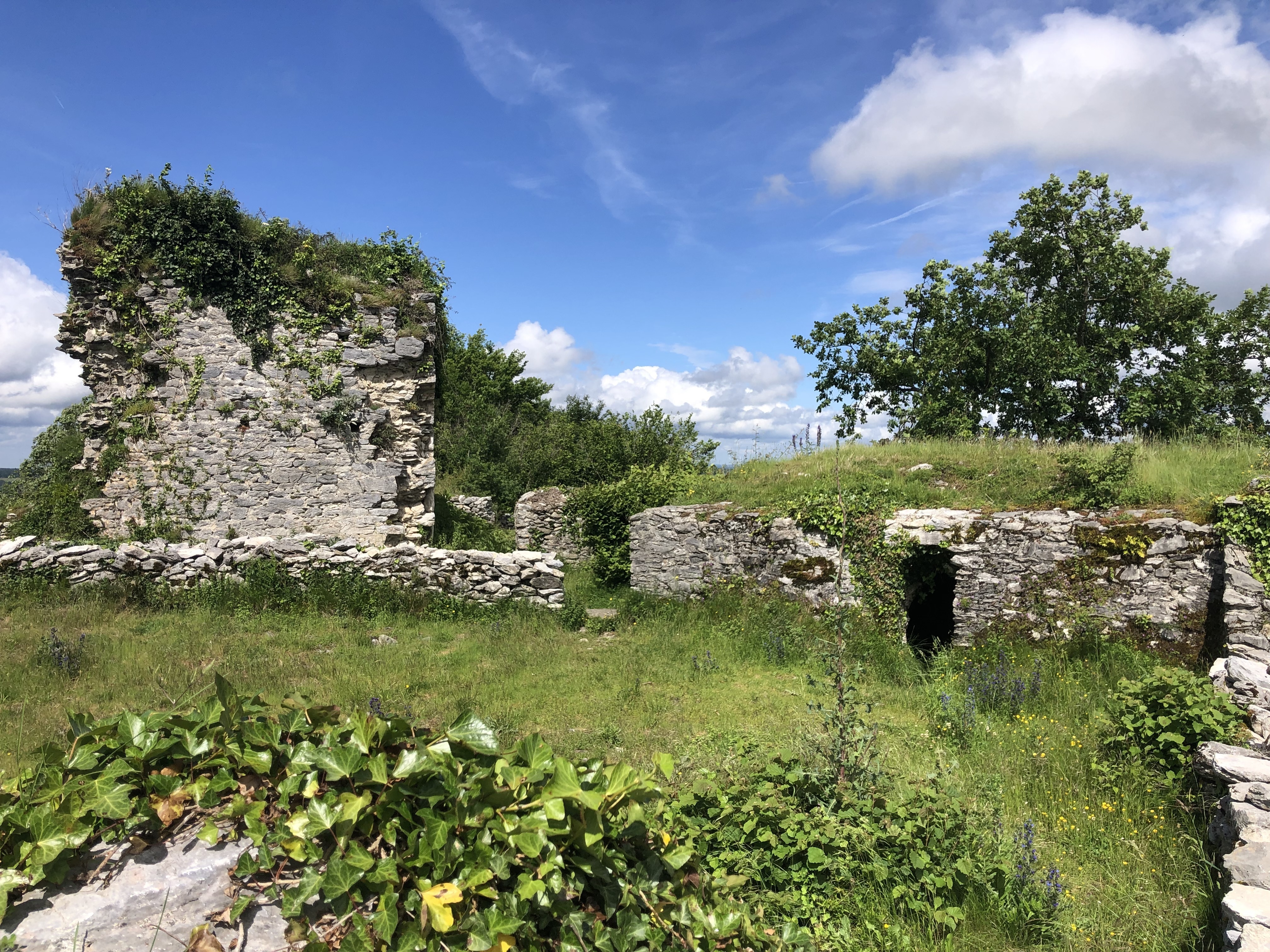 Visite guidée du château de Montoussé Le 21 sept 2024