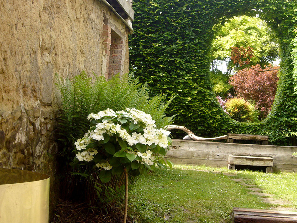 Visite guidée du jardin