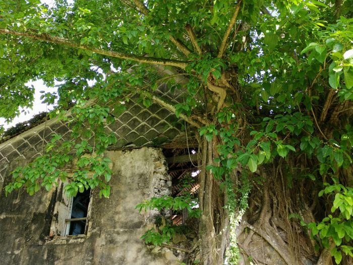 VISITE COMMENTÉE DE L'HABITATION DUFFERET