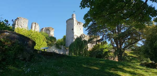 Visite libre des jardins suspendus du château Du 21 au 22 sept 2024