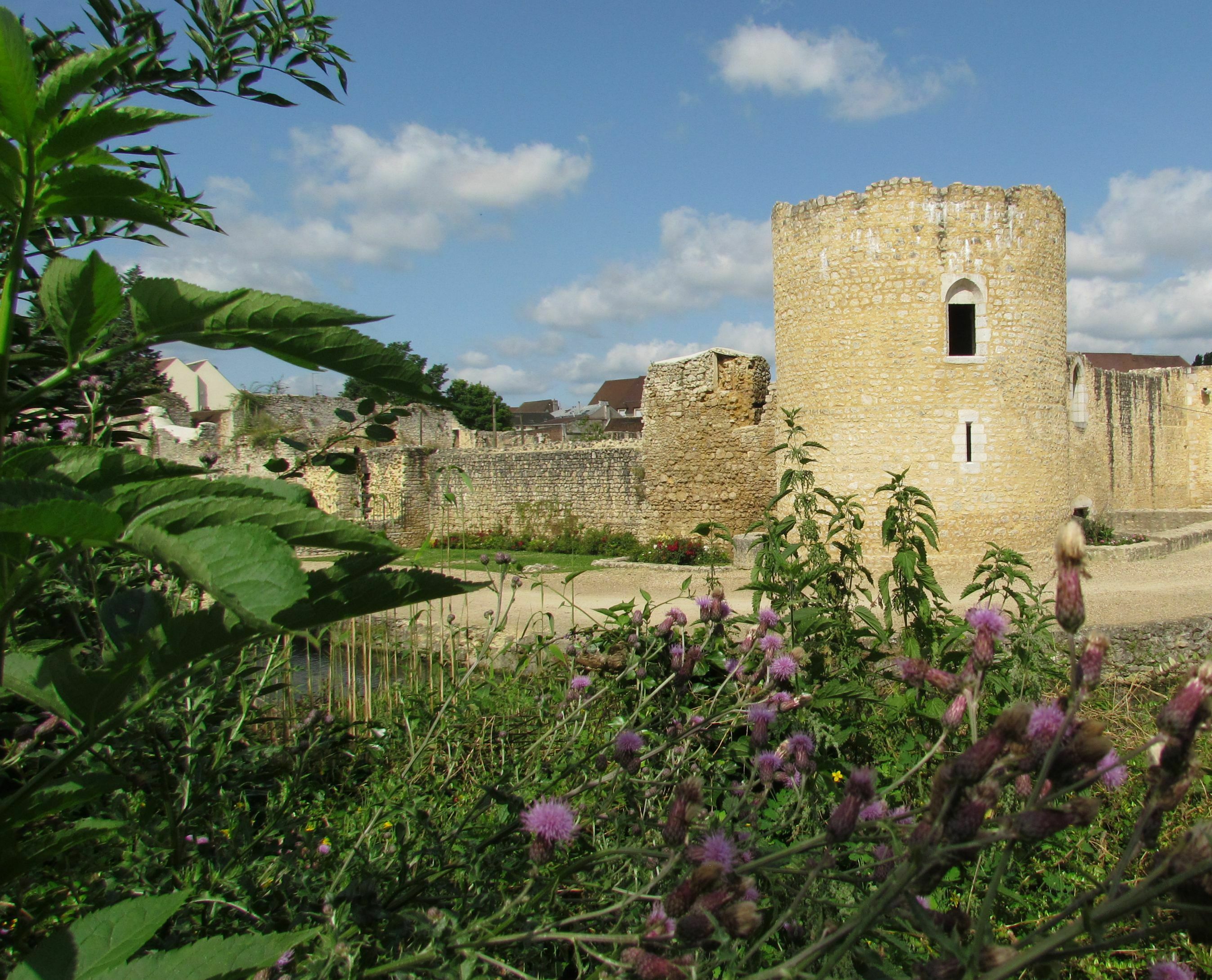 Visite guidée du château de Brie-Comte-Robert Du 21 au 22 sept 2024