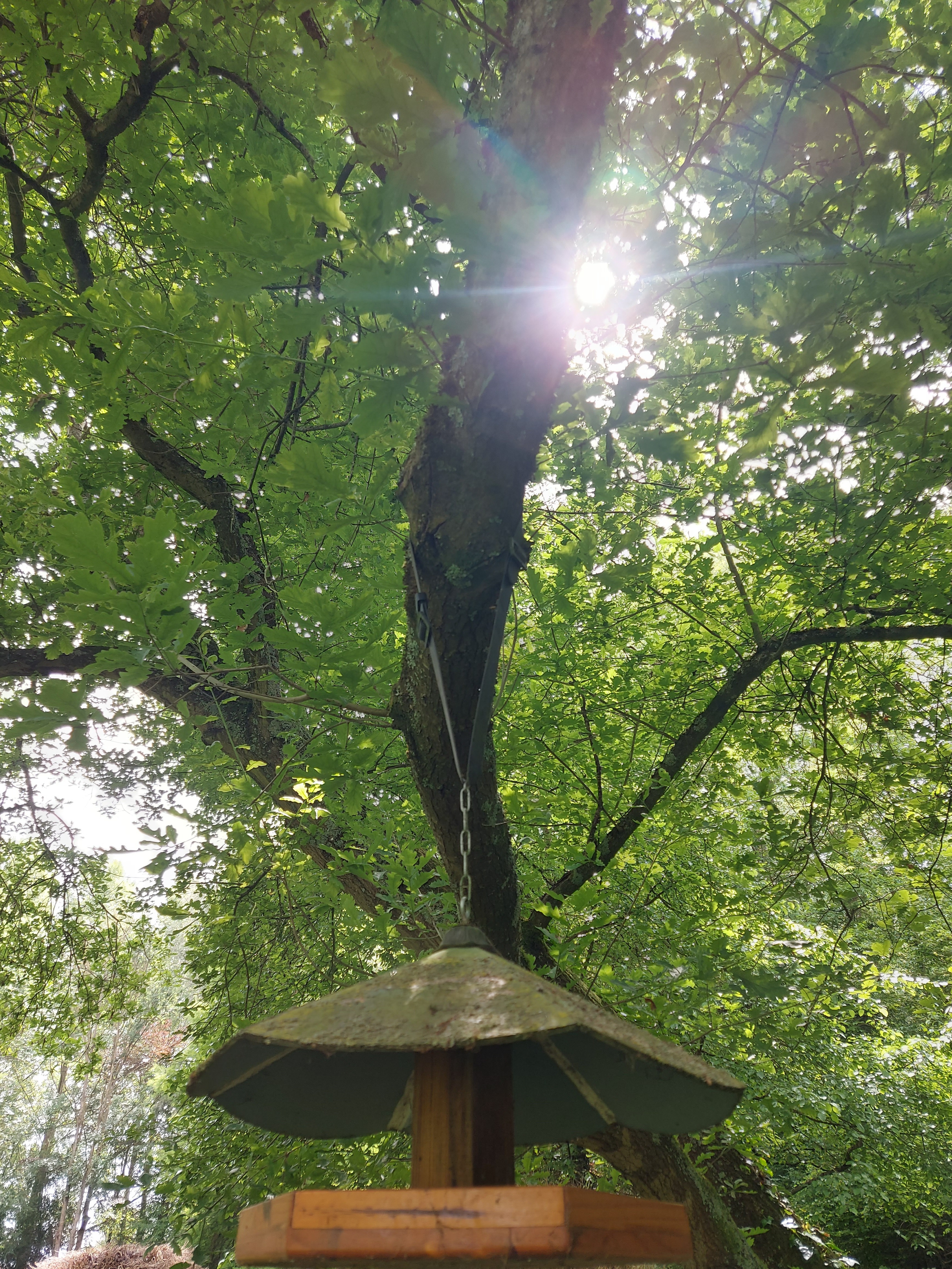 visite guidée sur rendez-vous du Jardin Lucine arboretum de 4 hectares situé le long de la Luce