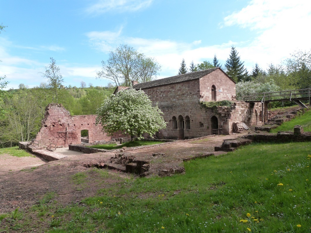 Visite guidée et dégustations