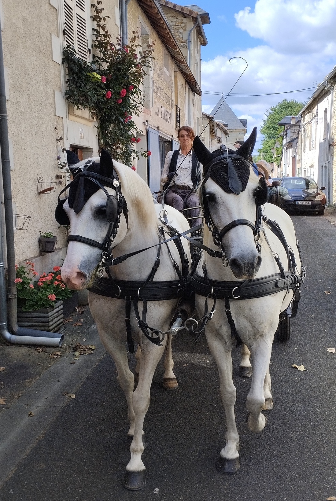 Promenade en calèche à la découverte de... Le 22 sept 2024