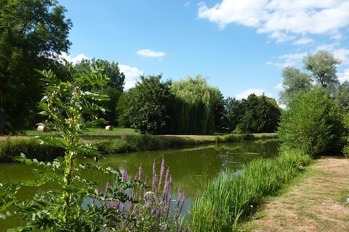 Promenade "Les contes du canal" Le 22 sept 2024