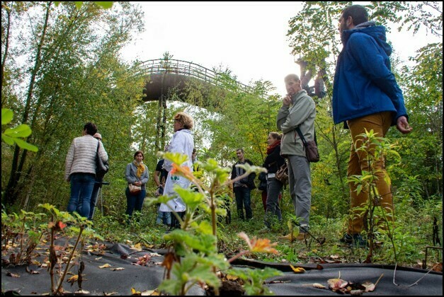 Visite guidée de jardins expérimentaux de phytoremédiation Du 21 au 22 sept 2024