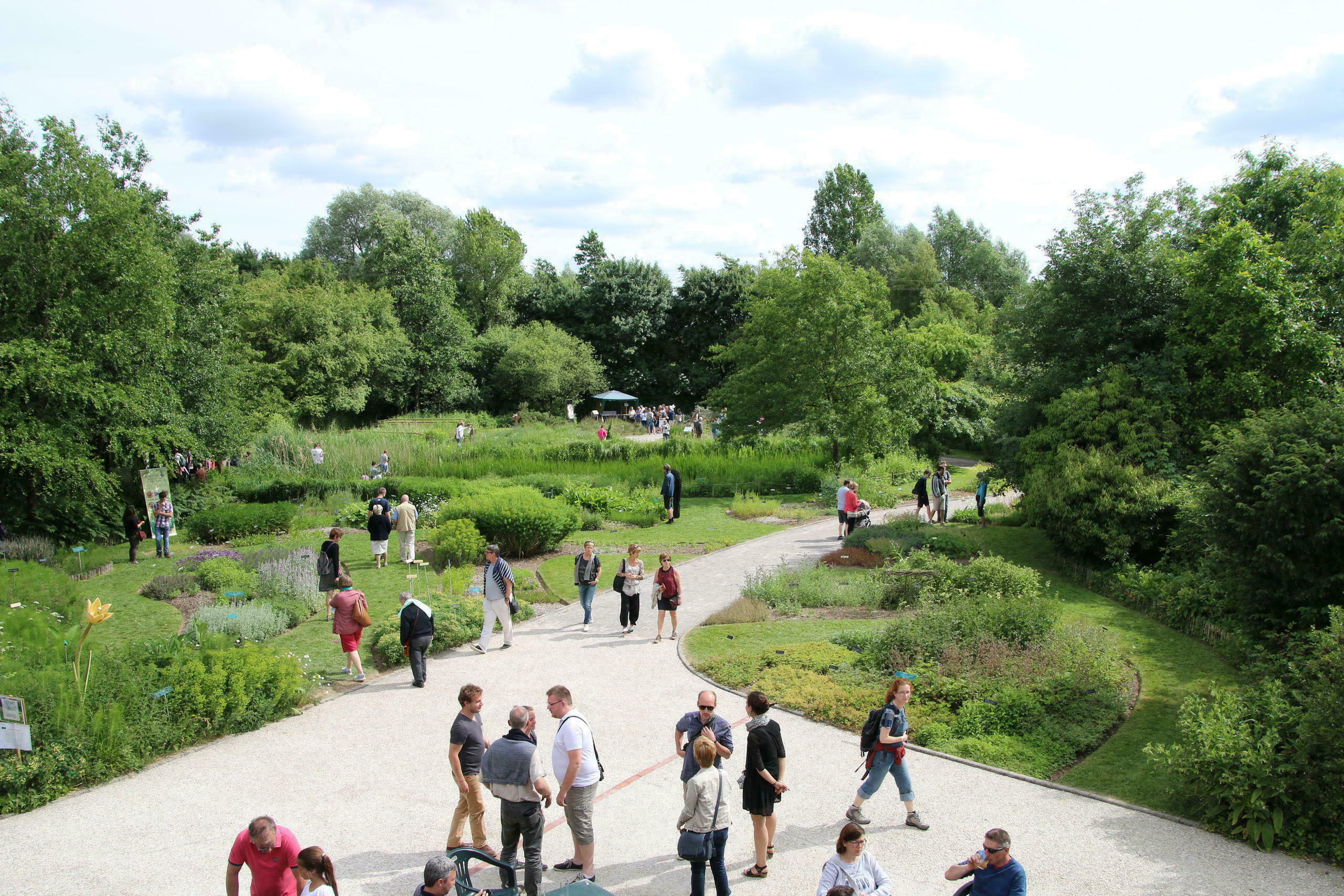 Visites libres des jardins de plantes sauvages et de plantes médicinales au Conservatoire Botanique…