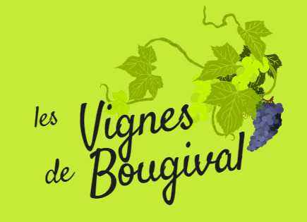 Les vignes de Bougival Le 22 sept 2024