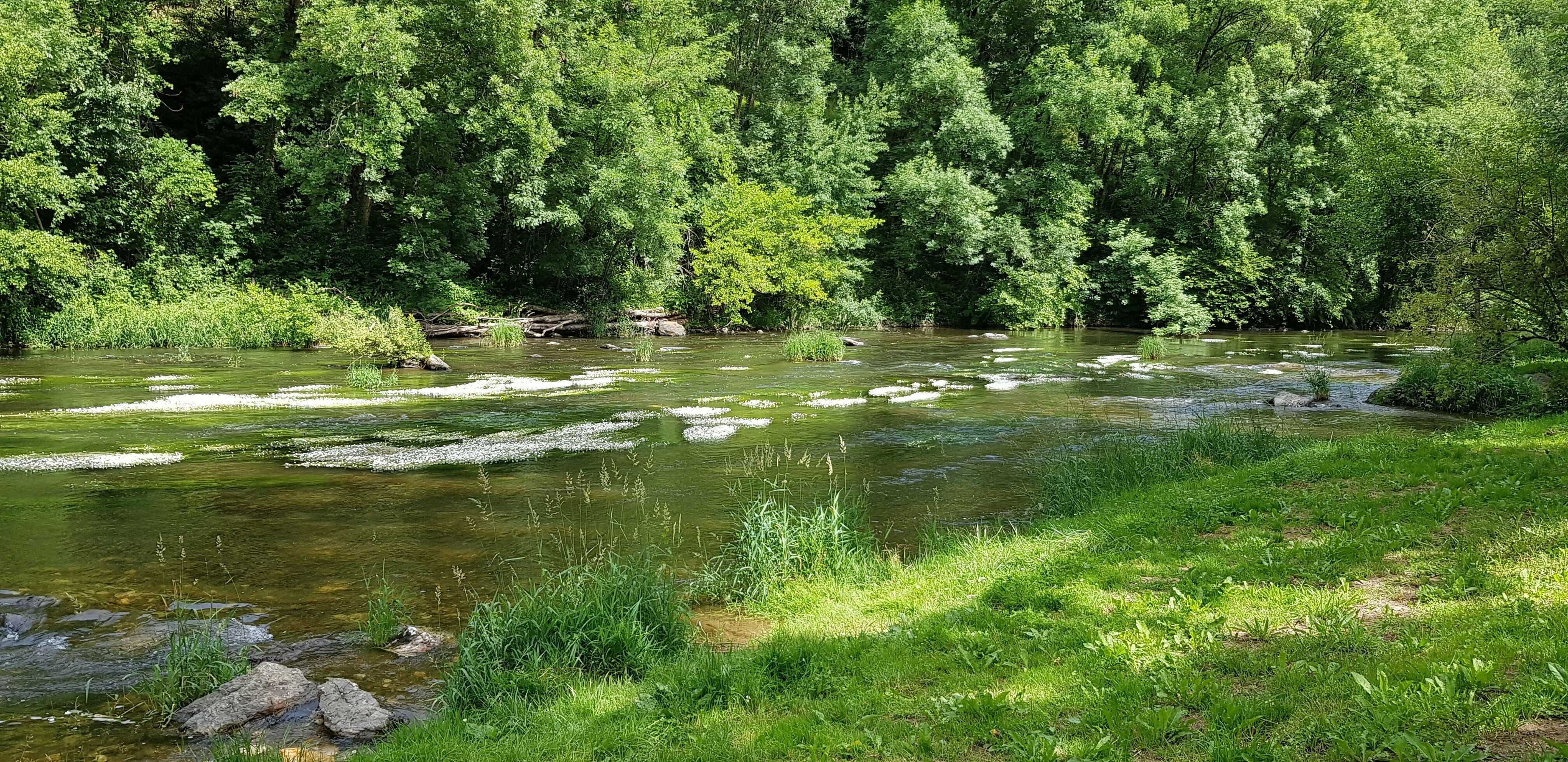 Balade commentée et ateliers « Terre, eau et végétal... Le 21 sept 2024