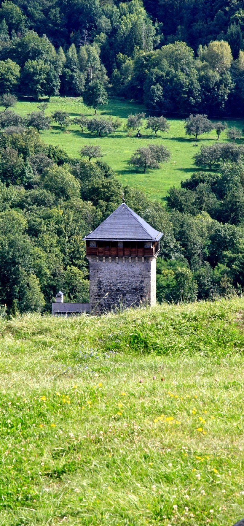 Visite libre du château Montmayeur