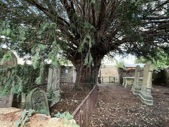 Visite libre du cimetière