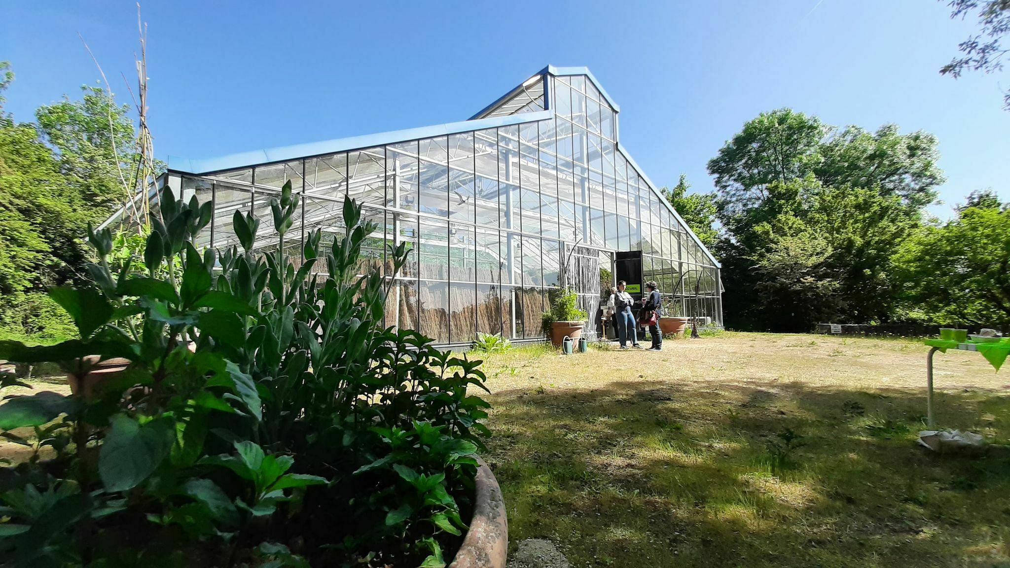 Rencontre au Val de Flore : un jardin-forêt