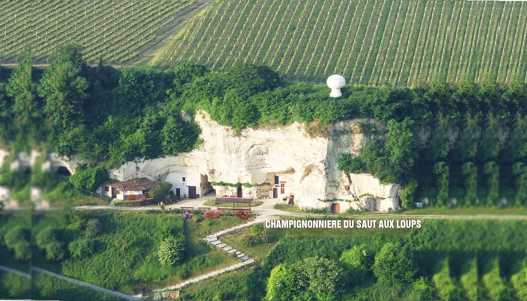 Champignonnière Le Saut aux loups