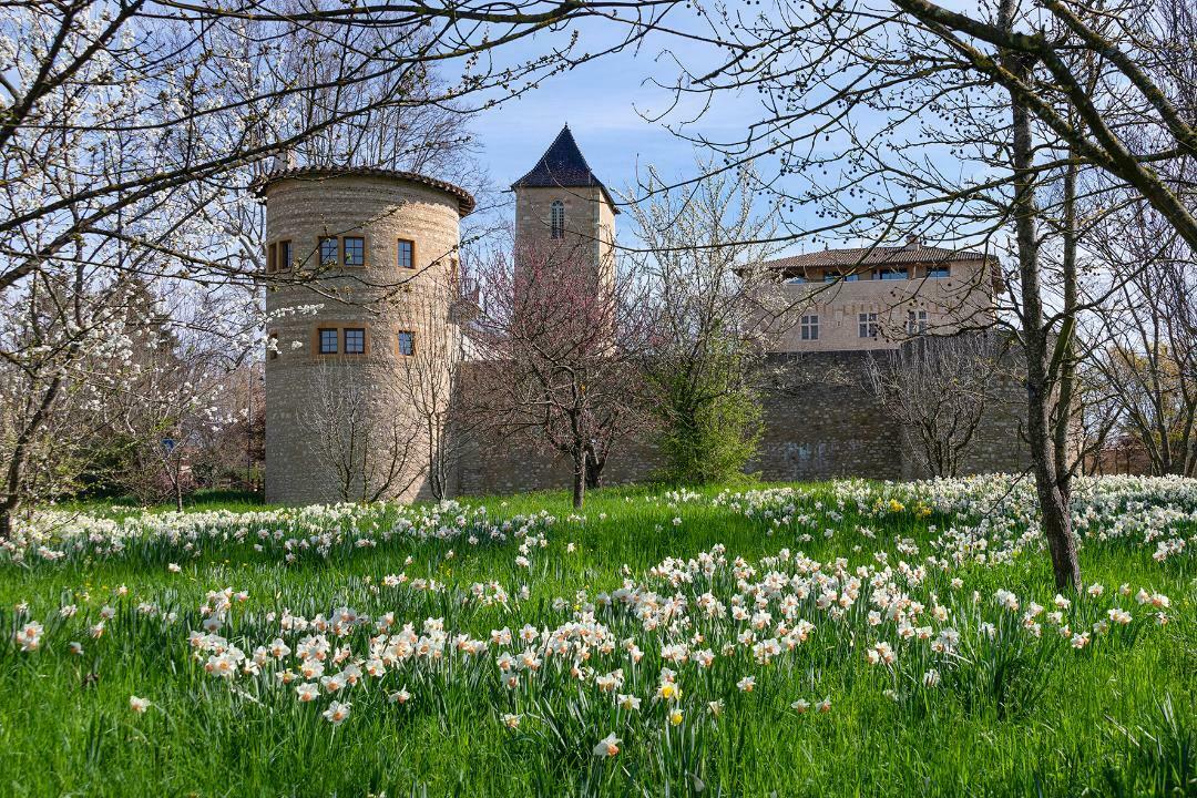 Visite illustrée du château de Saint-Bernard Du 21 au 22 sept 2024