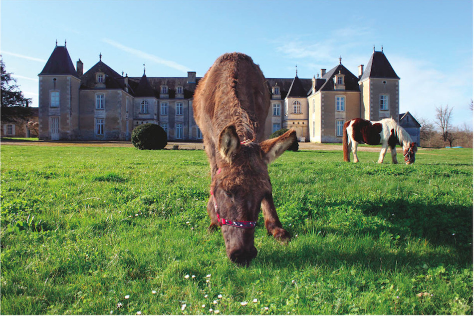 Visite costumée au château de Panloy