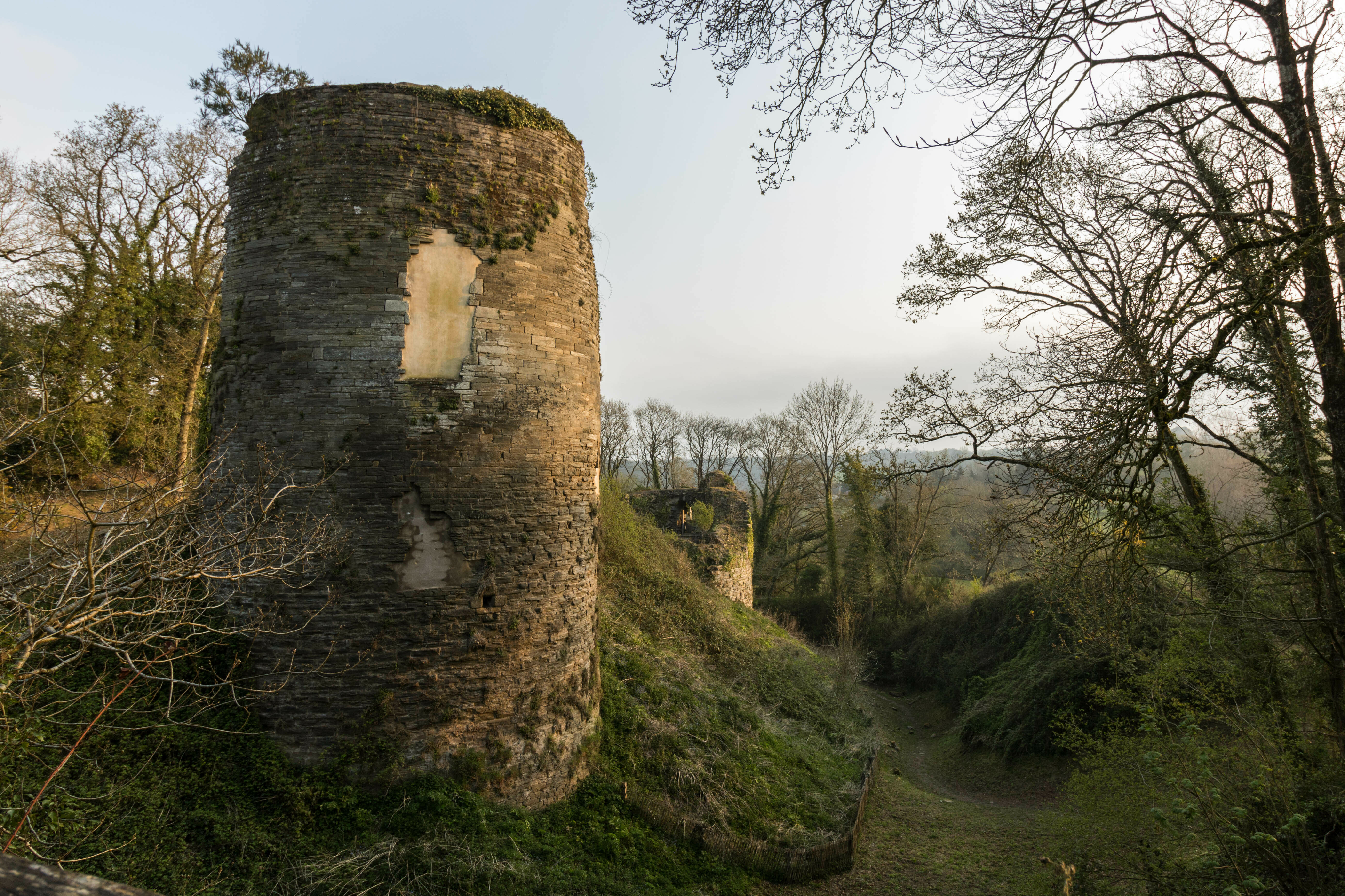 « Dire et comprendre une forteresse médiévale »