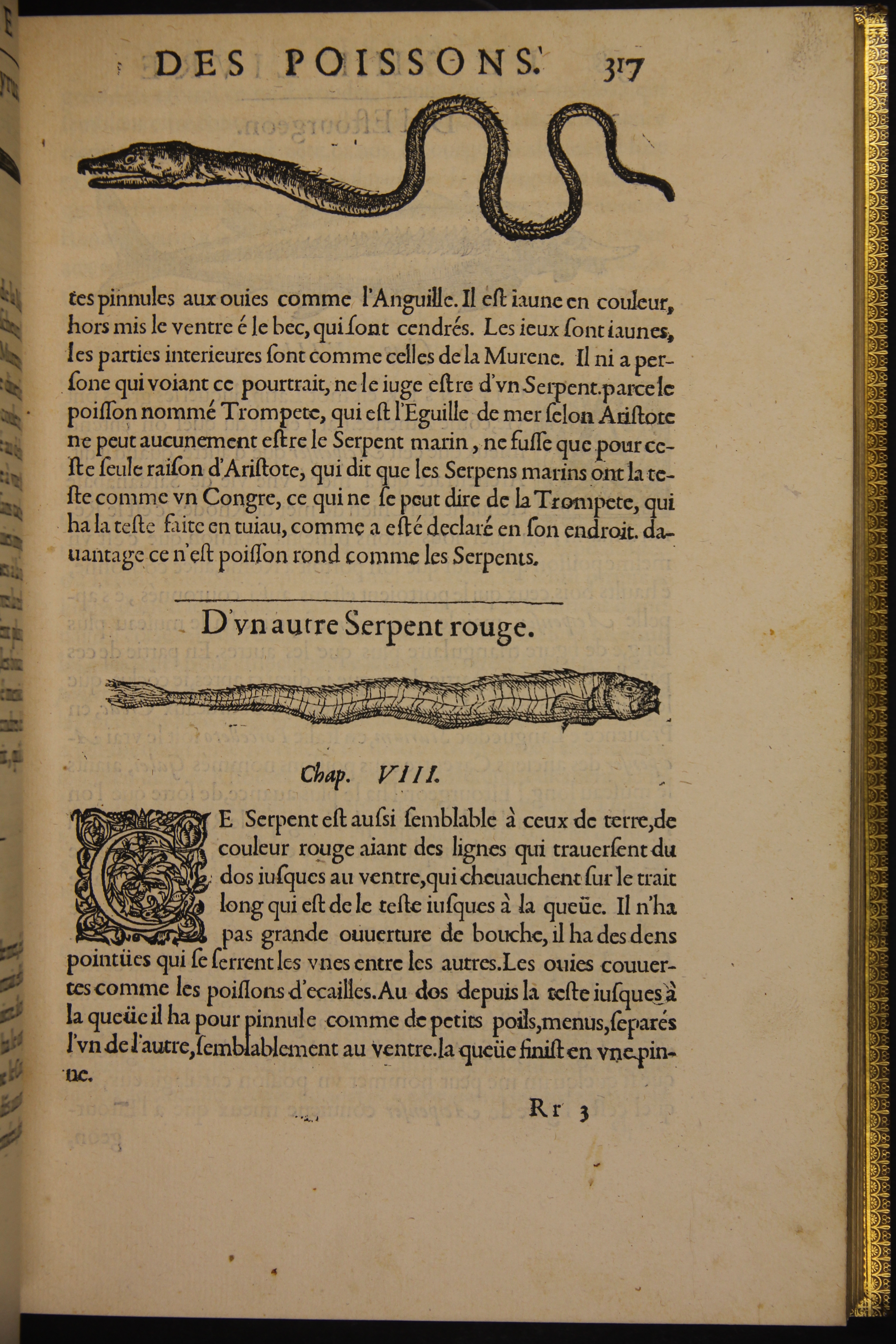 « La pescalunade » : une fête dédiée à l