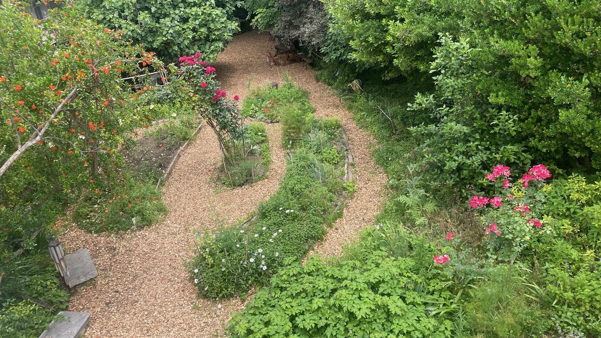 Visite guidée du jardin de la reine Du 21 au 22 sept 2024