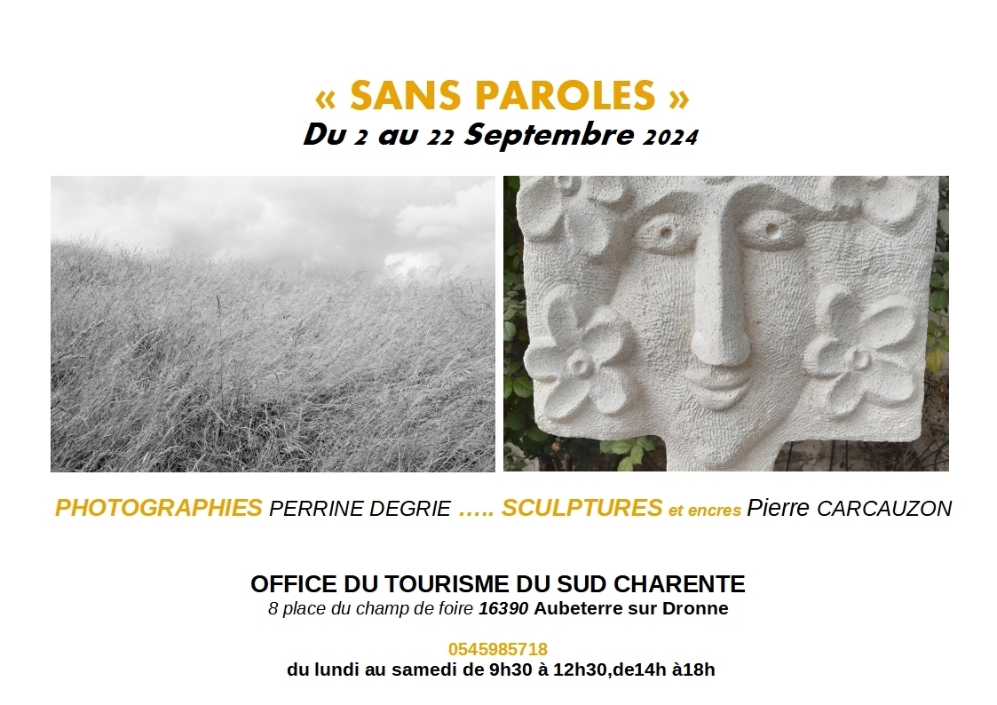 Exposition : « Sans paroles »