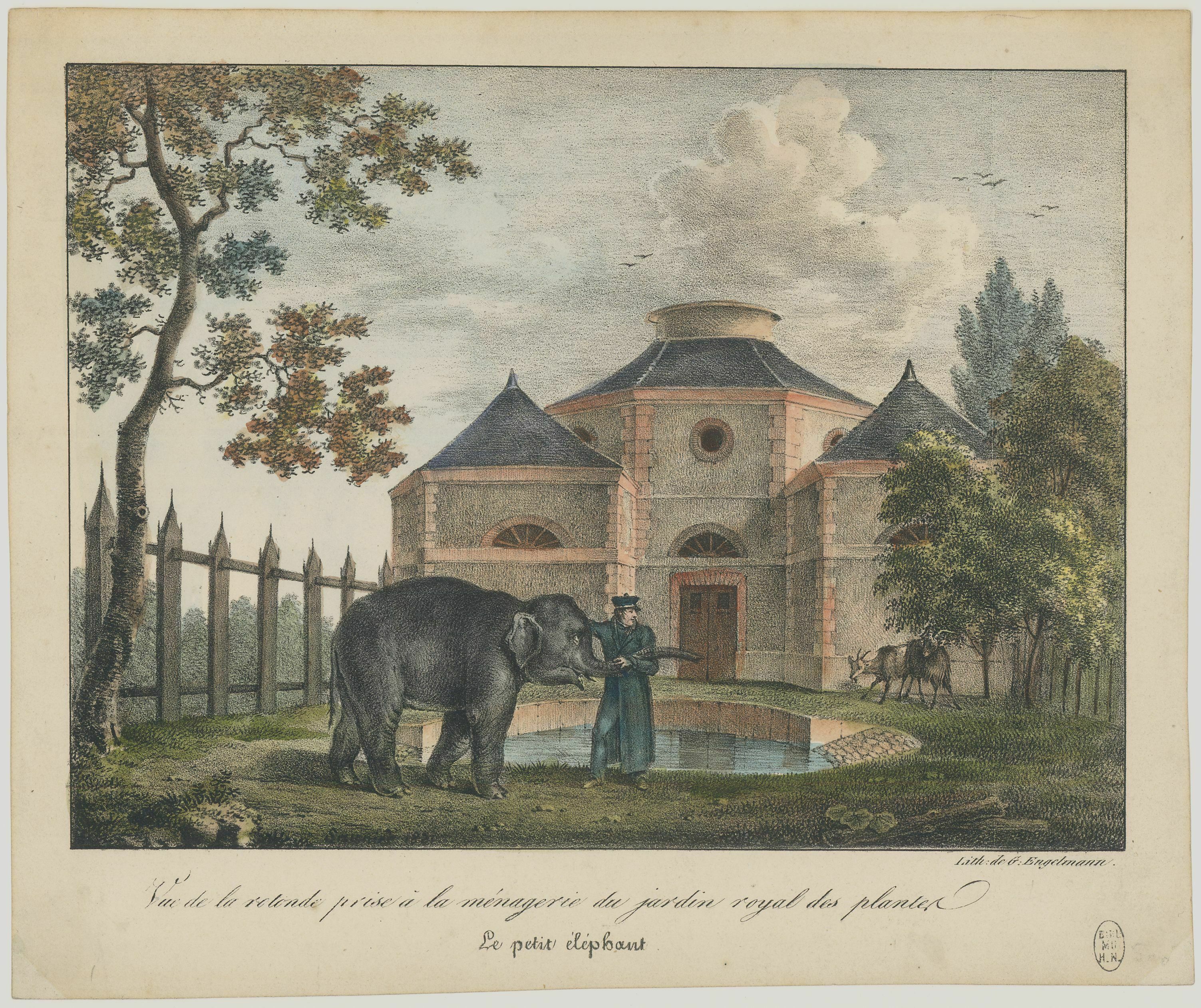 La Ménagerie, 230 ans d