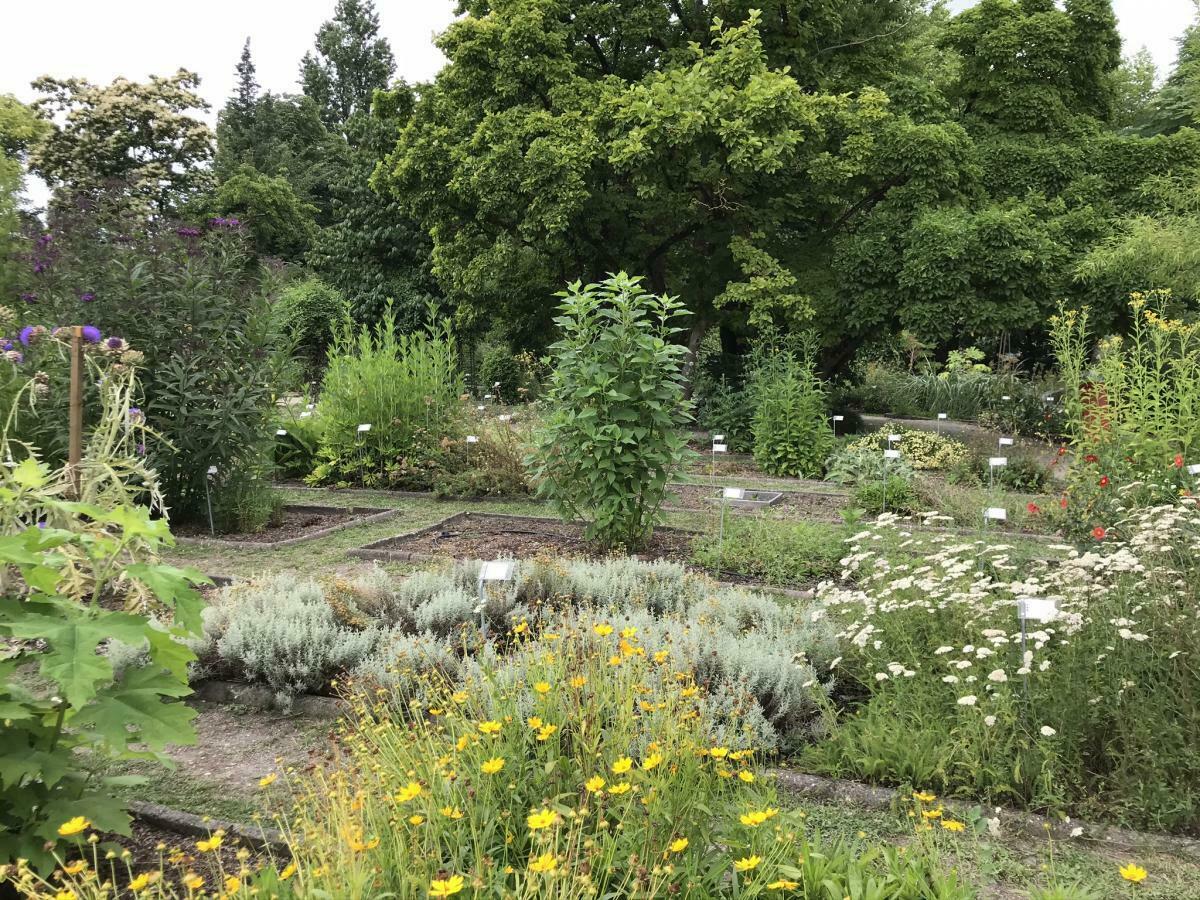 Visite guidée du jardin botanique historique Le 21 sept 2024