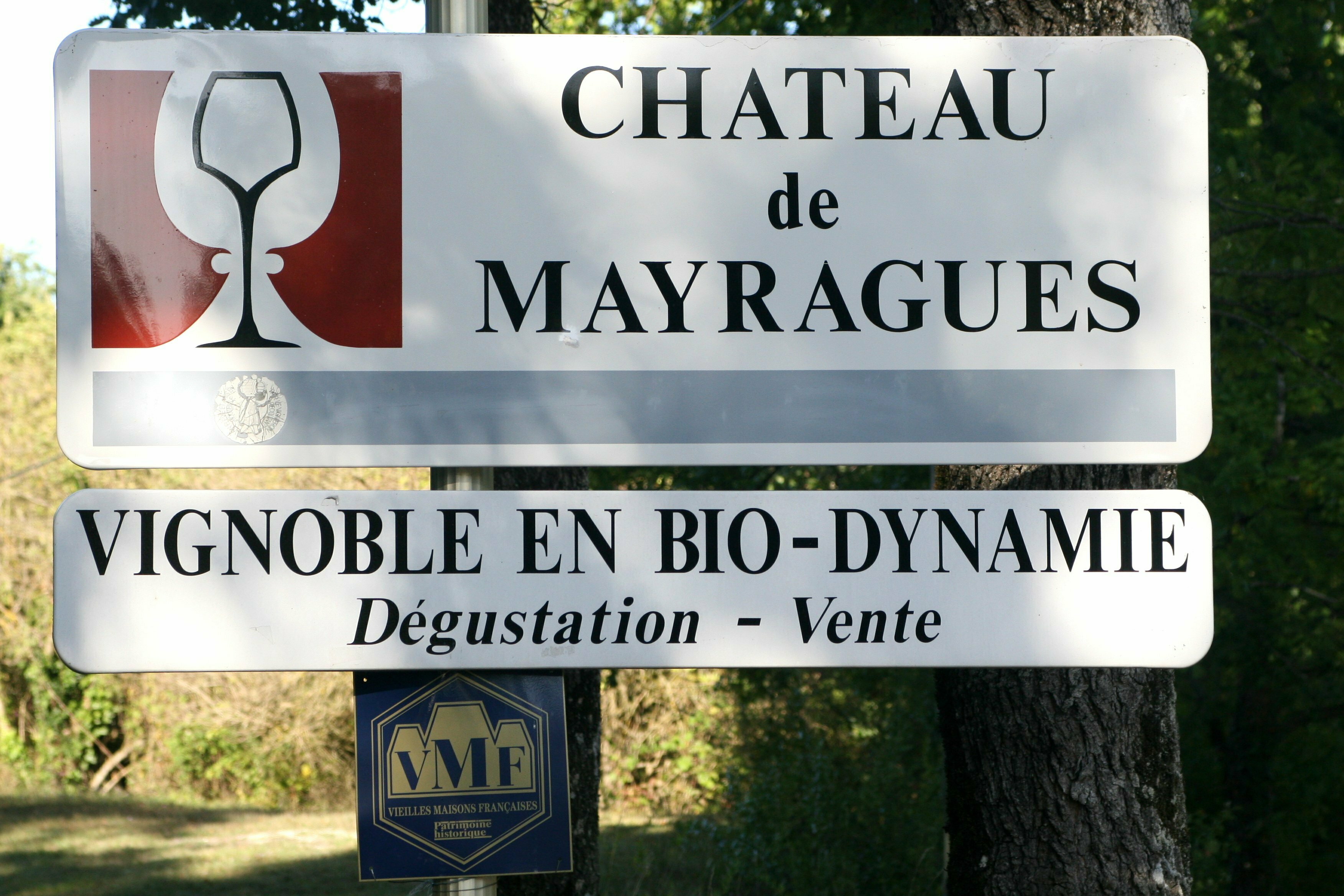 Dégustation des vins du domaine en biodynamie